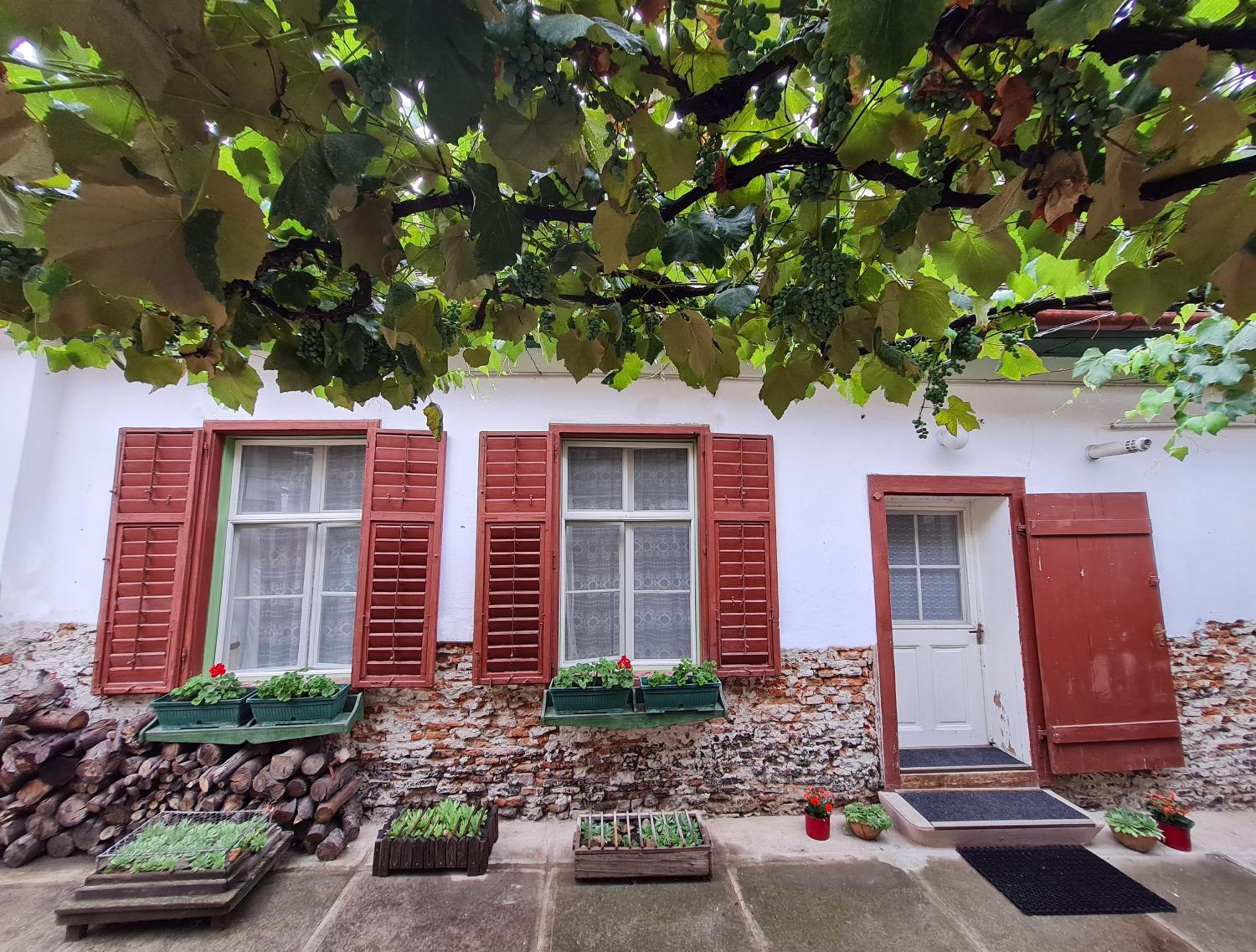 Casa Mia Camera Lilla view 4