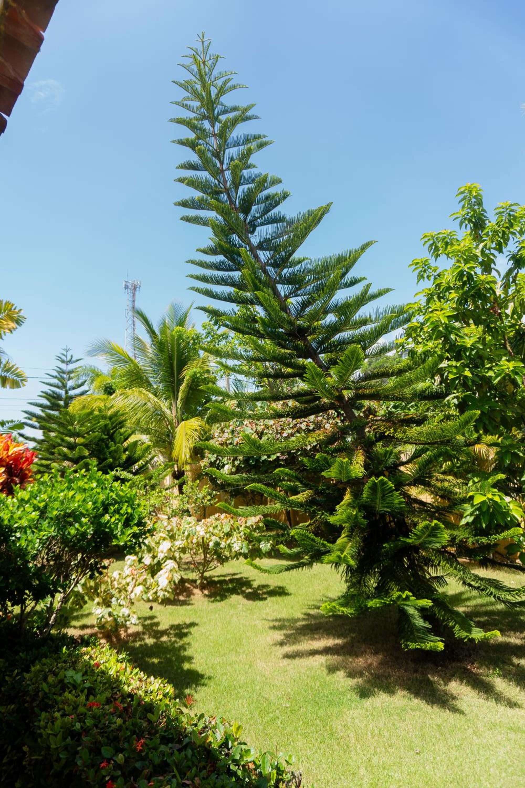 Villa Ramon Reynoso, Cabrera