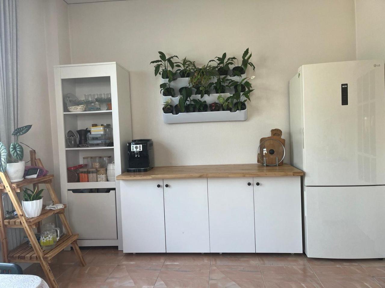 EcoHouse