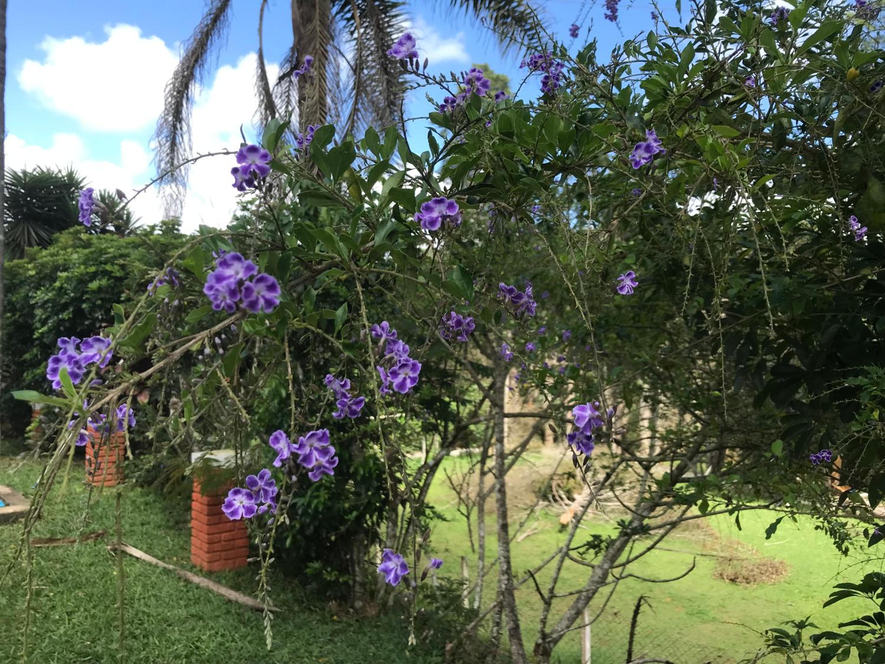 Recanto Figueiredo