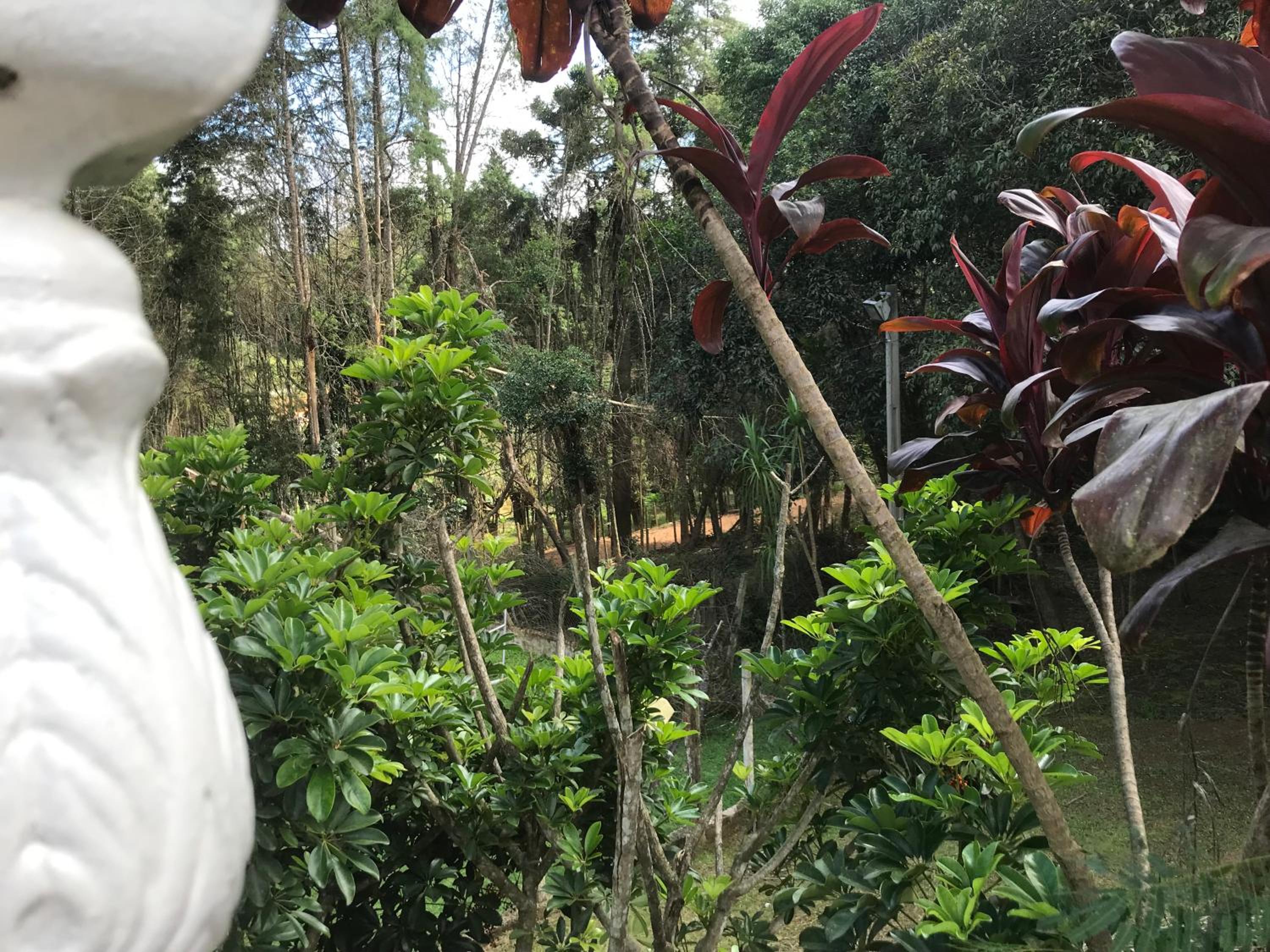 Recanto Figueiredo