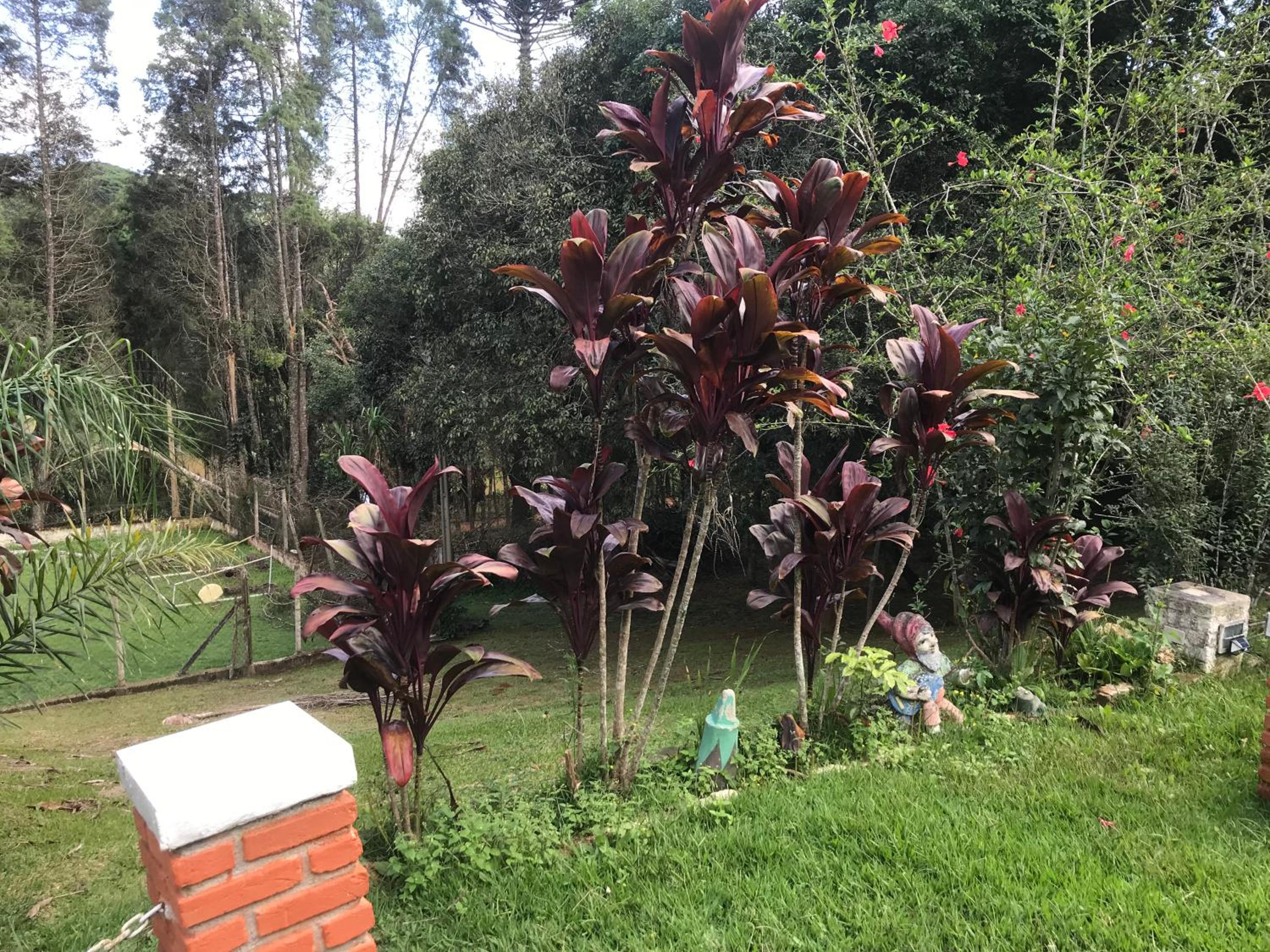 Recanto Figueiredo