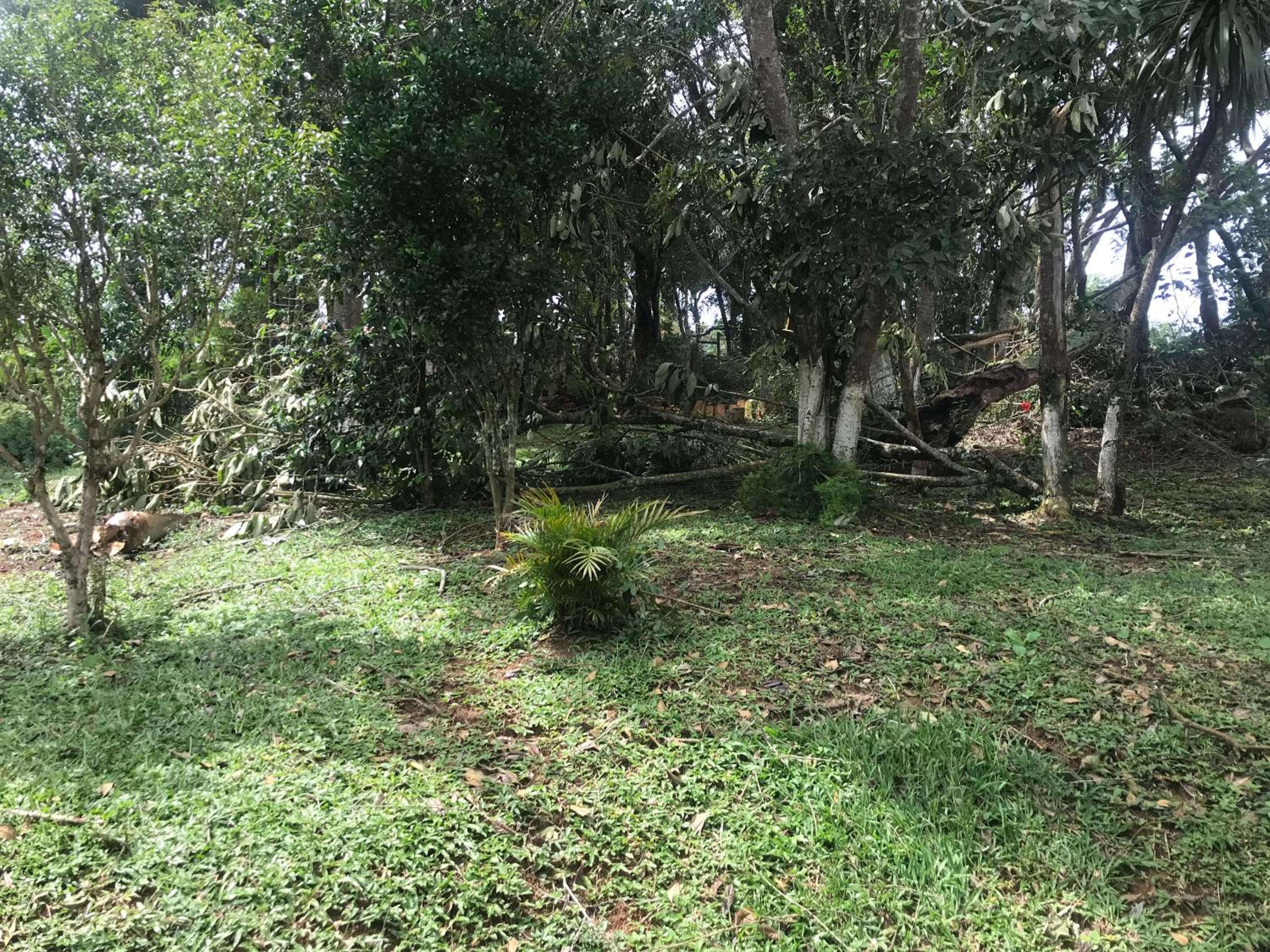 Recanto Figueiredo