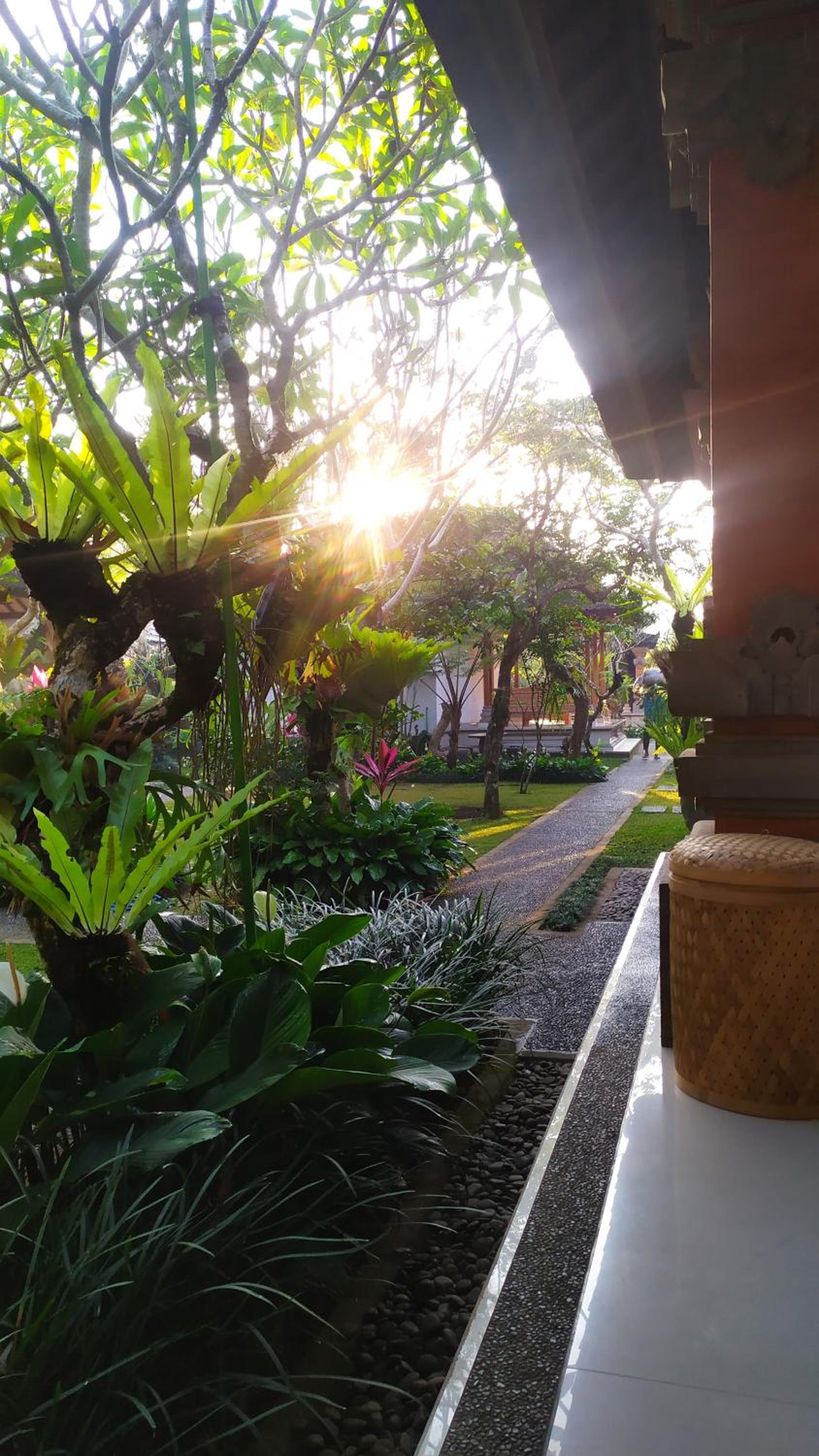 Umah alas view 4