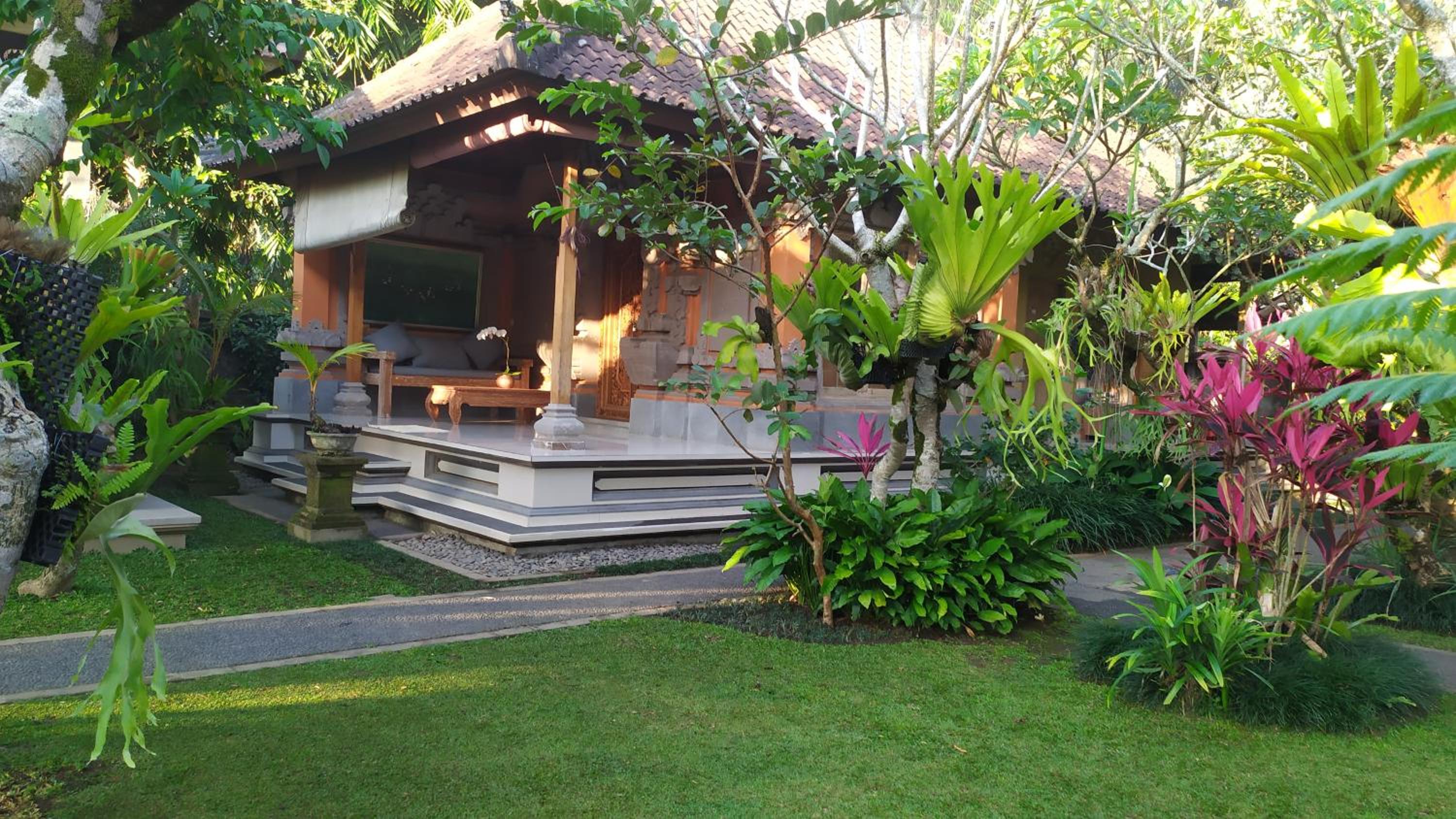 Umah alas view 3