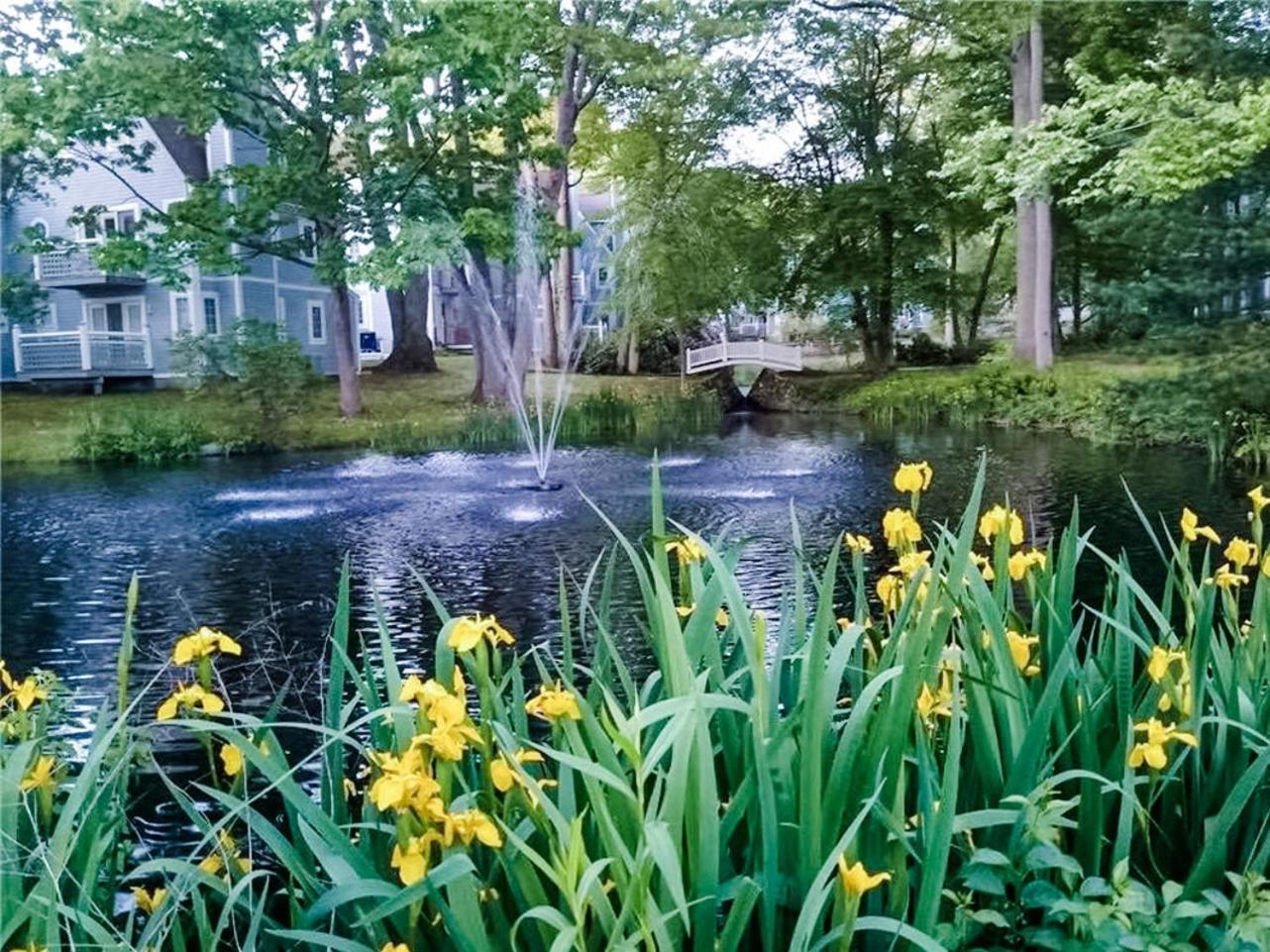 Photo 100
