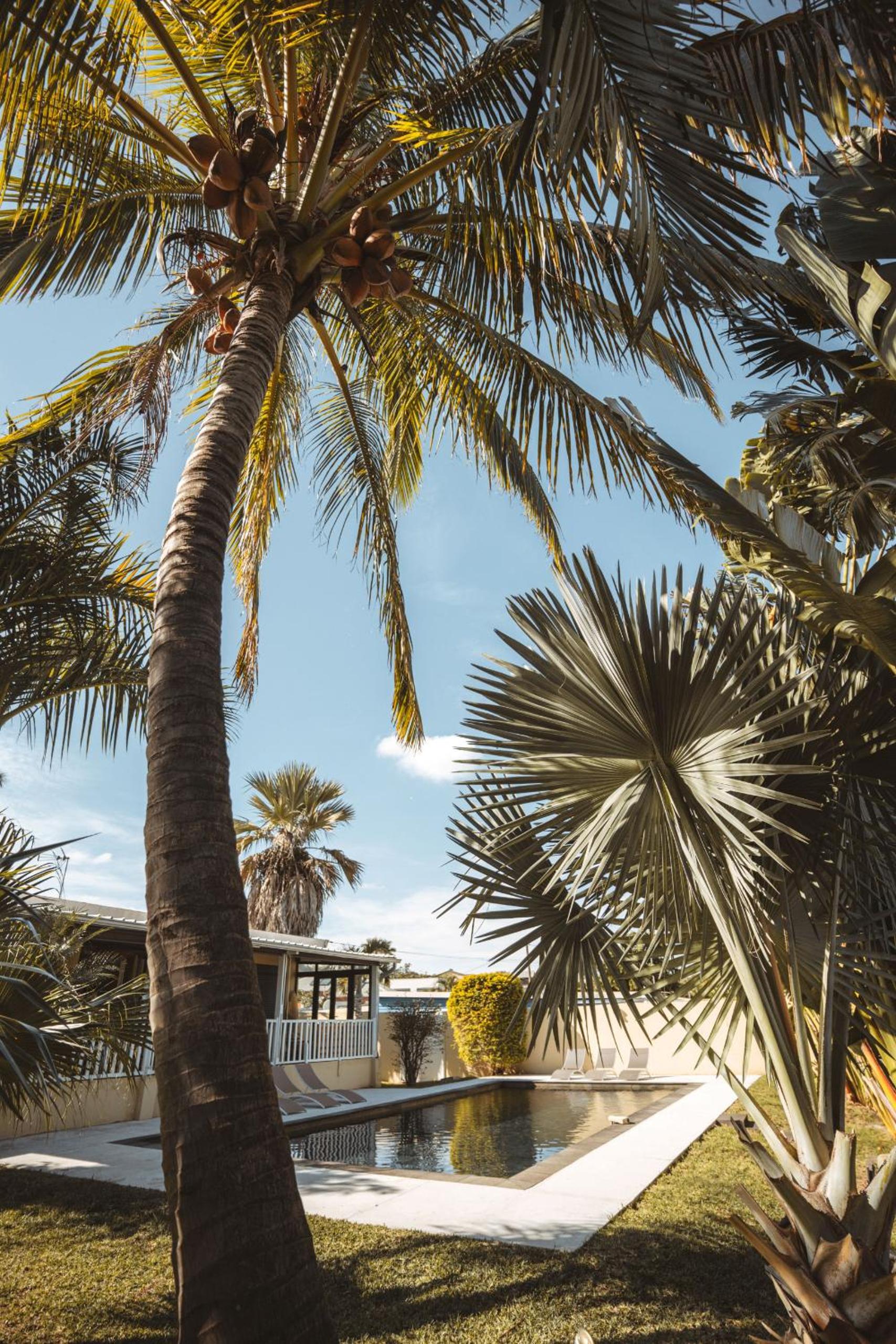 Villa Coco et sa superbe piscine