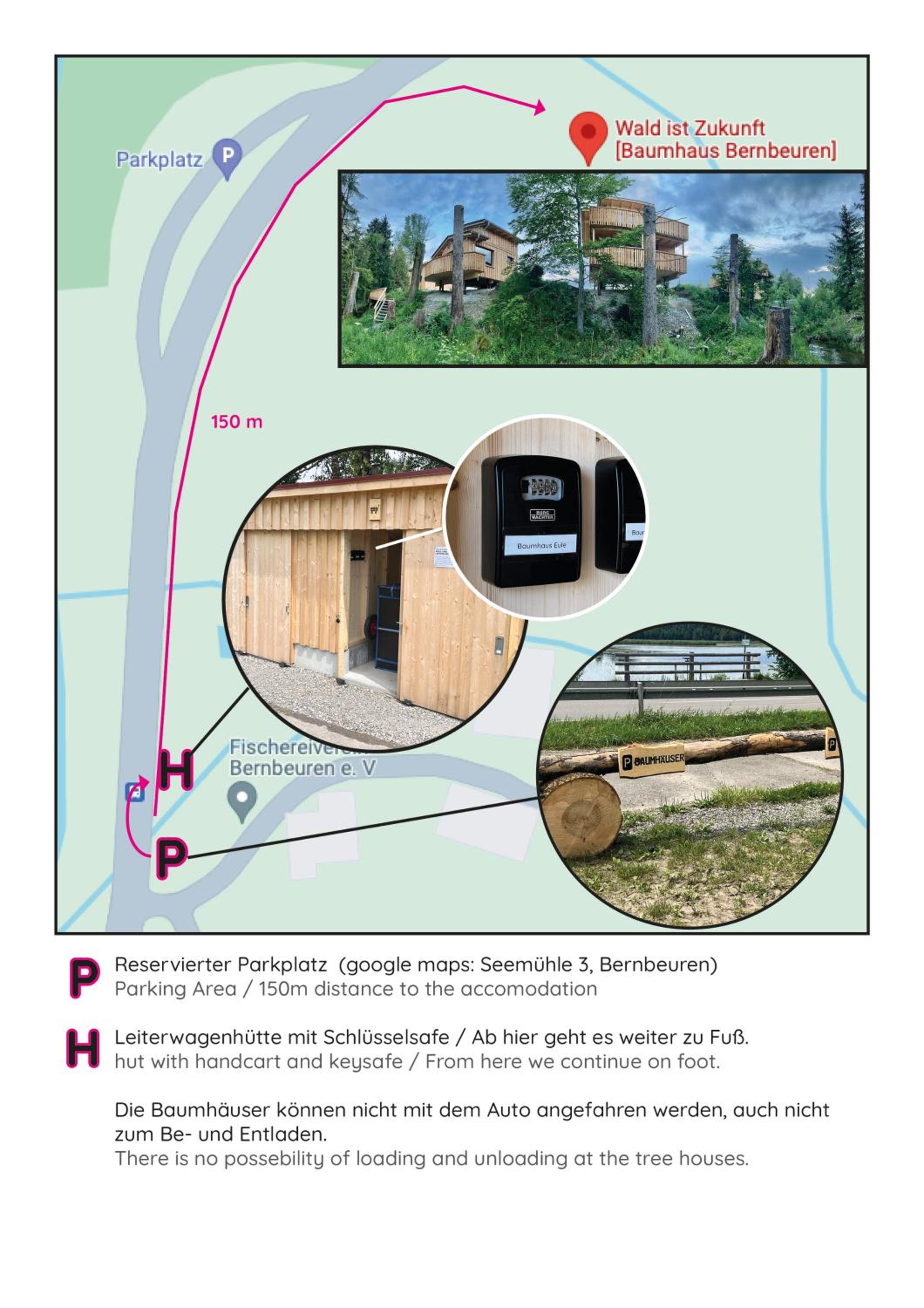 Wald ist Zukunft