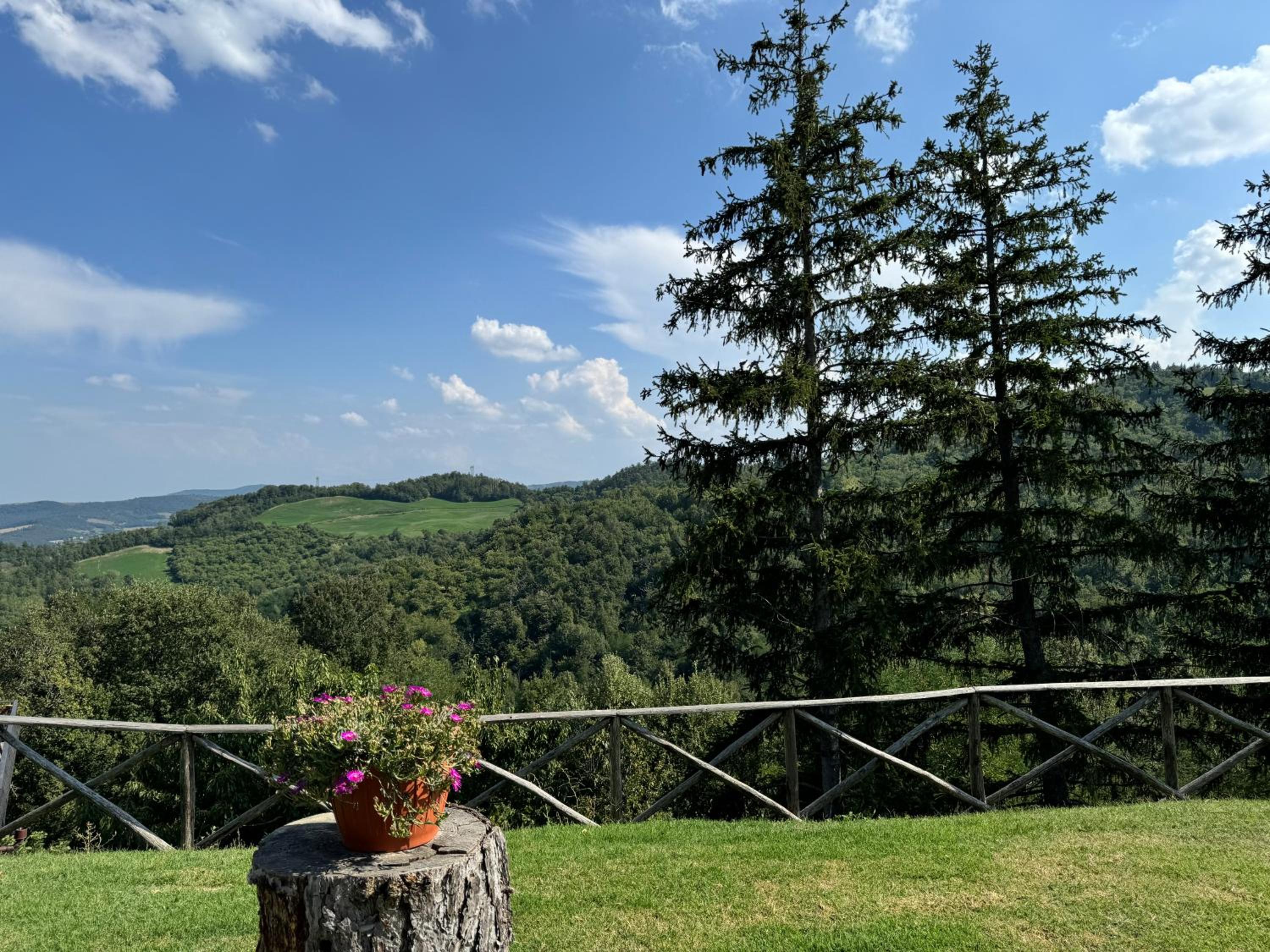 Casapunta