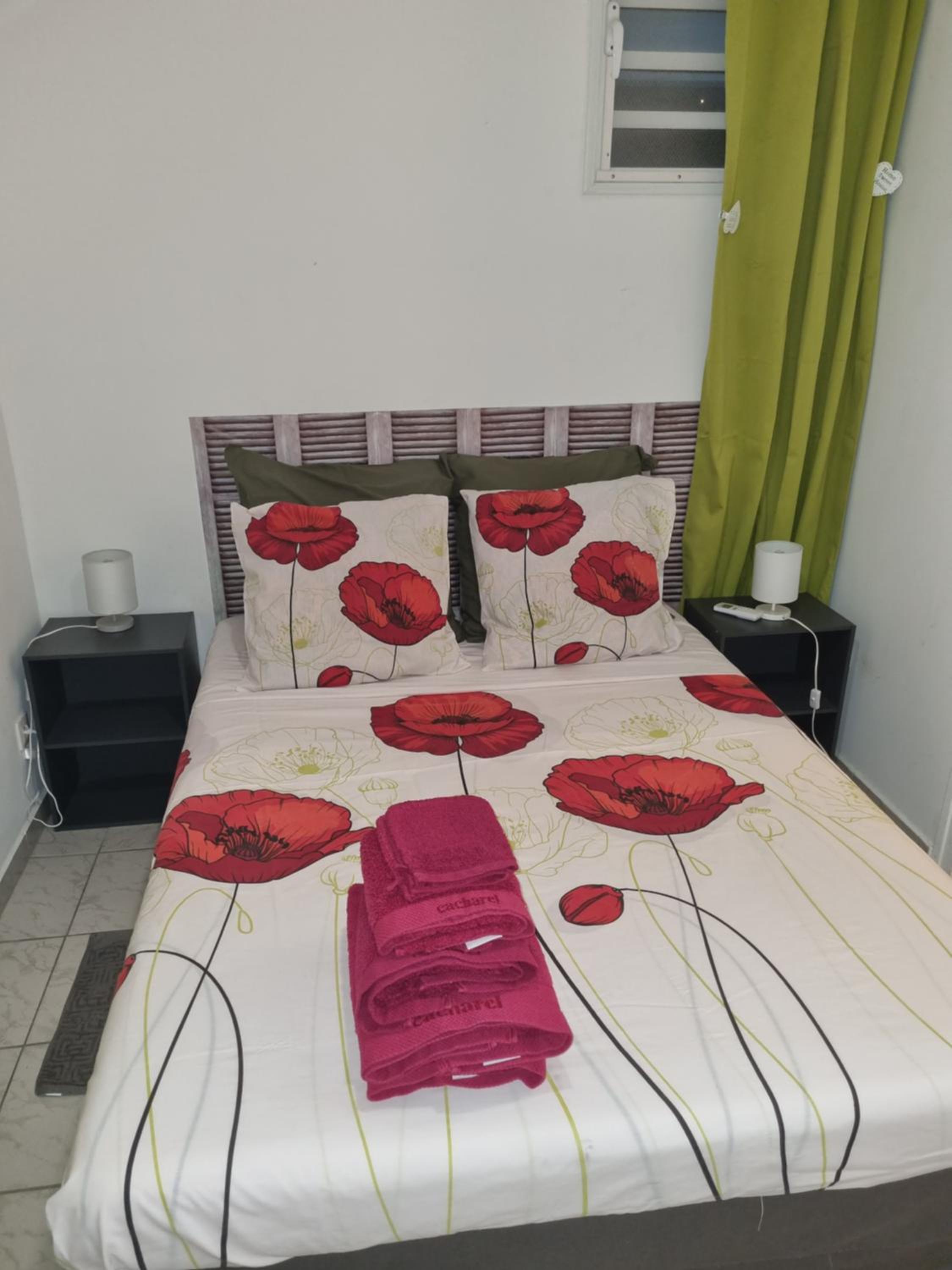 Hibiscus et Miro view 2