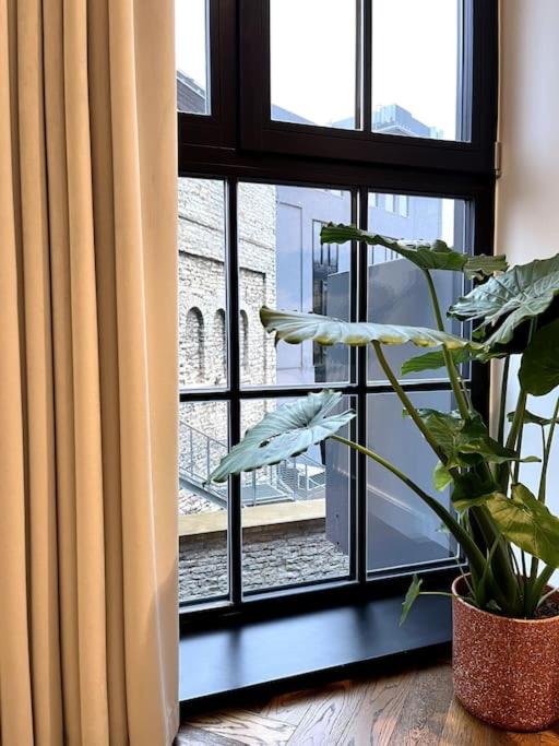 Tallinn Vacations - Luxury loft in central Tallinn - Property Image 42