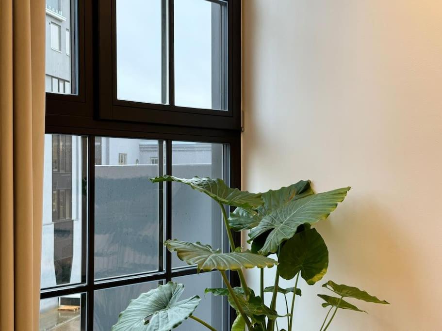 Tallinn Vacations - Luxury loft in central Tallinn - Property Image 39