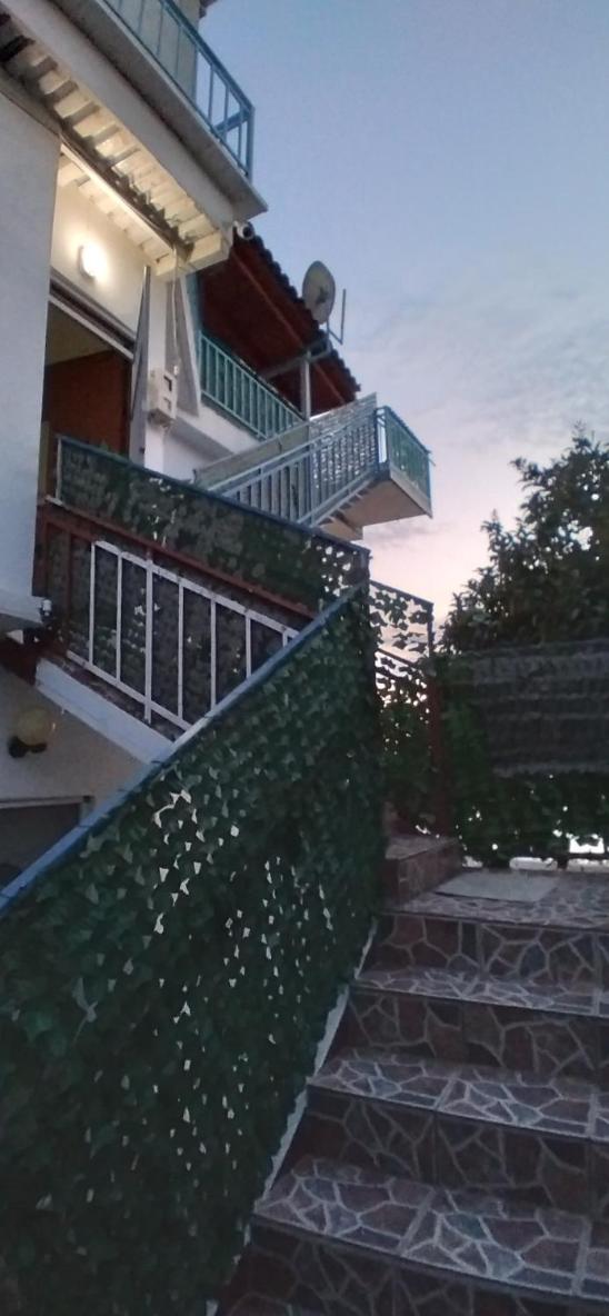 Villa Luiza Piqeras photo 3