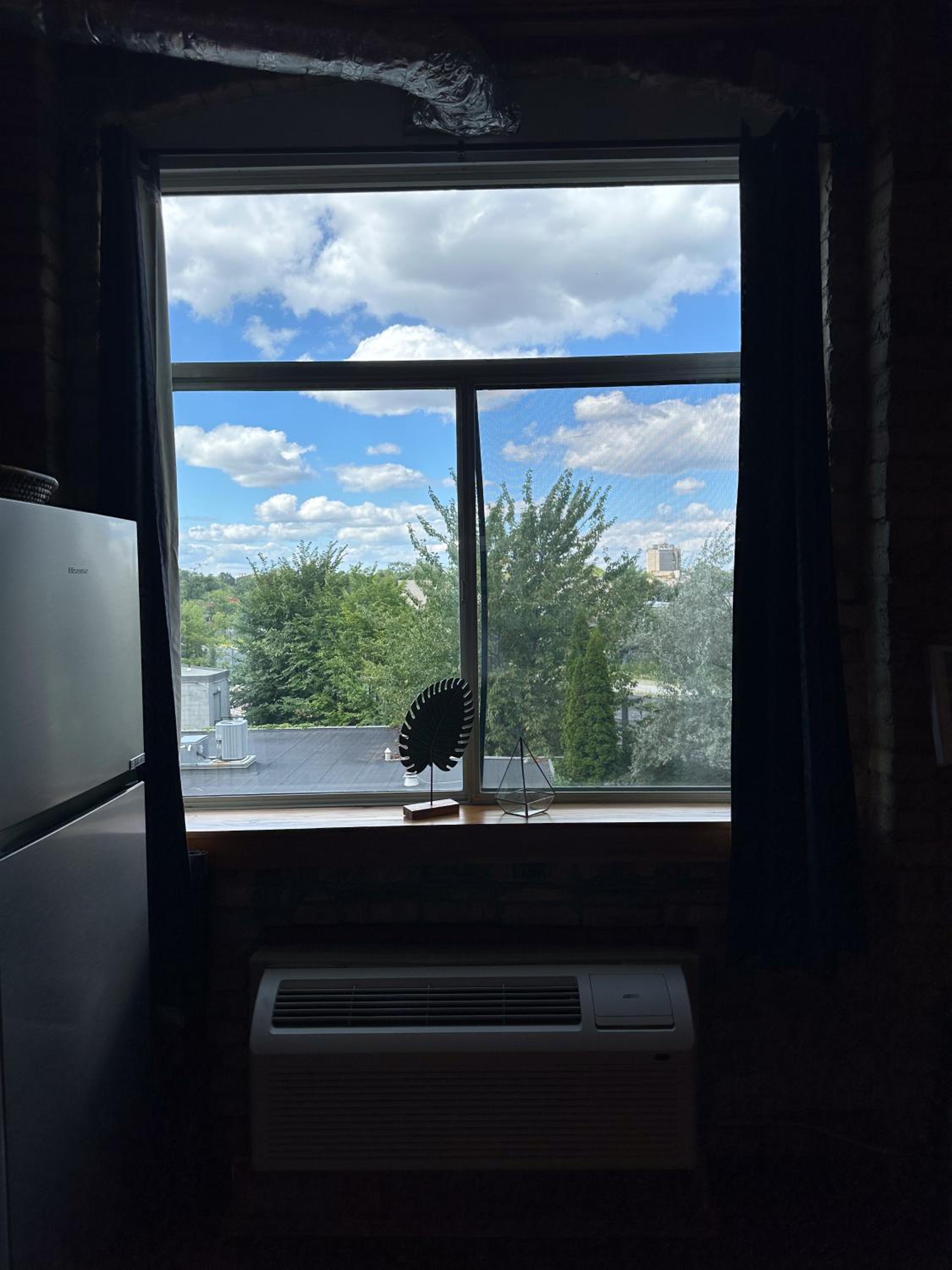 Cozy West End Studio