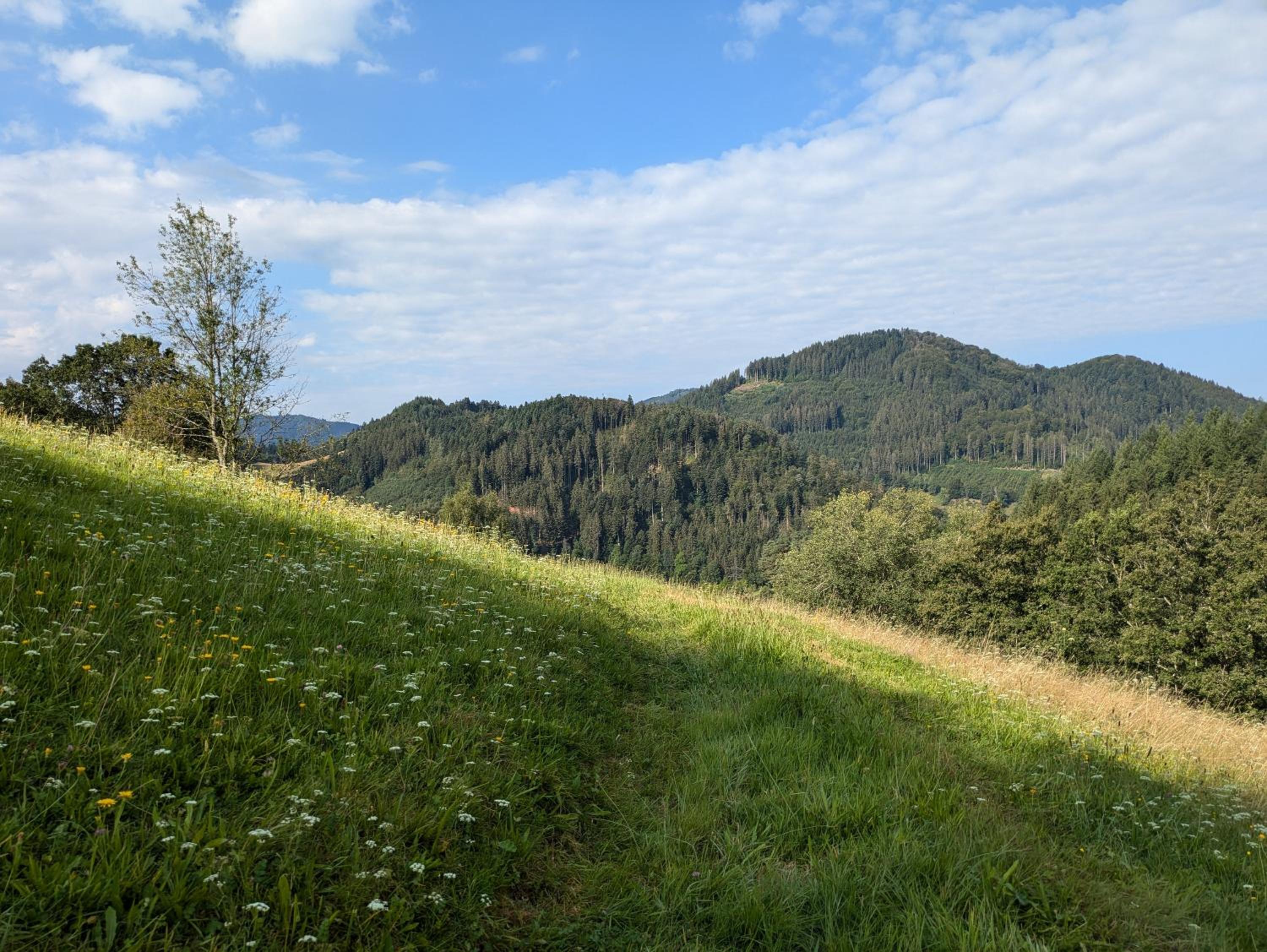 Ferienwohnung Häberlehof