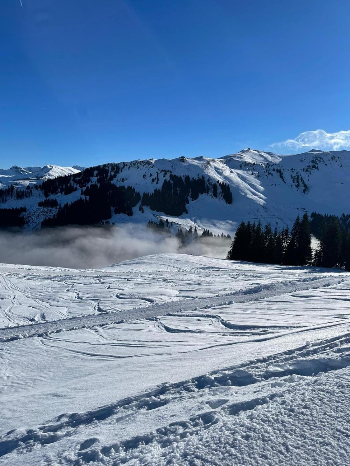 Genießen Sie Bergblick & Sauna im modernen Chalet