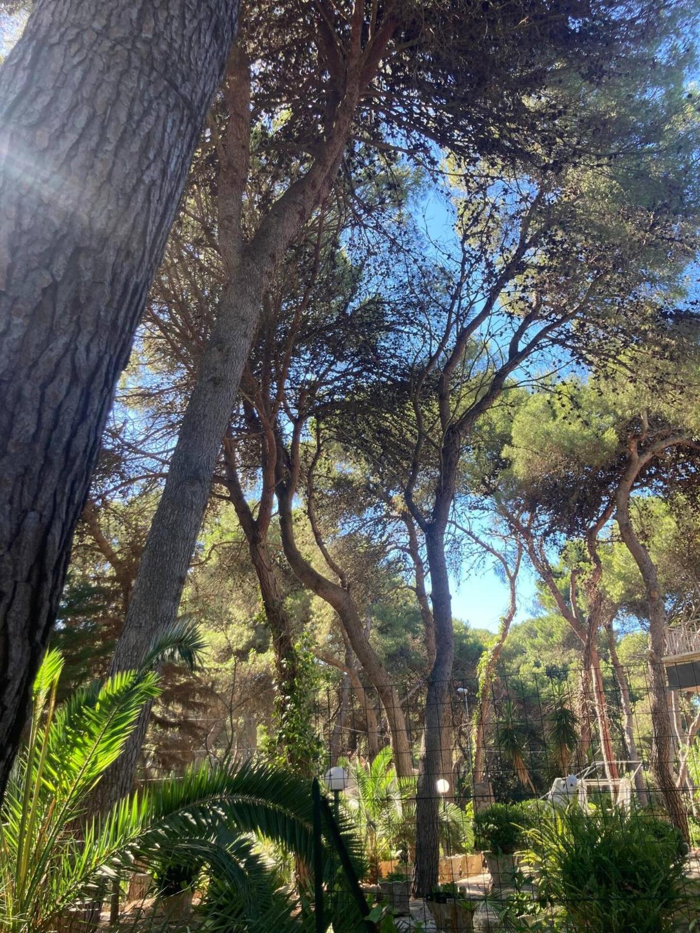 villa raffaela lido silvana marina di pulsano fatamorgana view 2