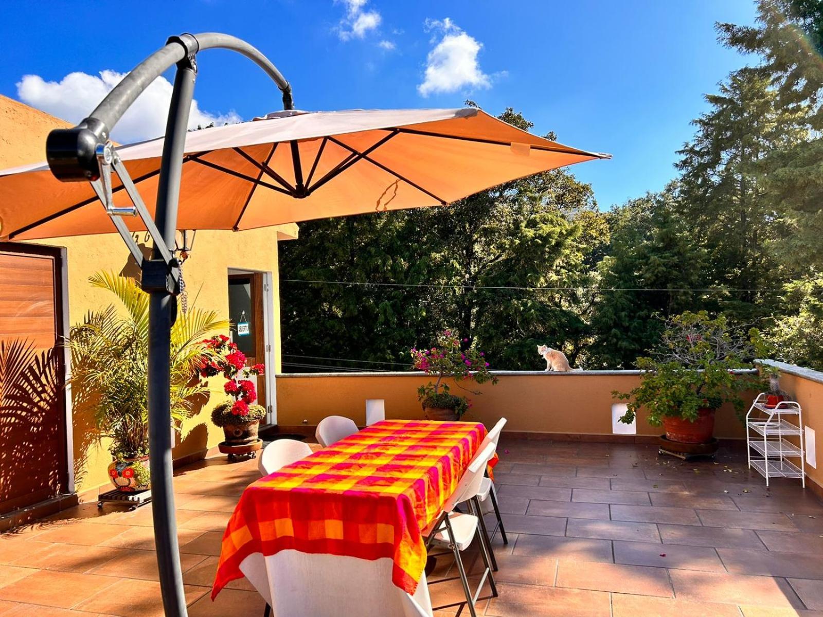Departamento Guayacan Tepoztlan