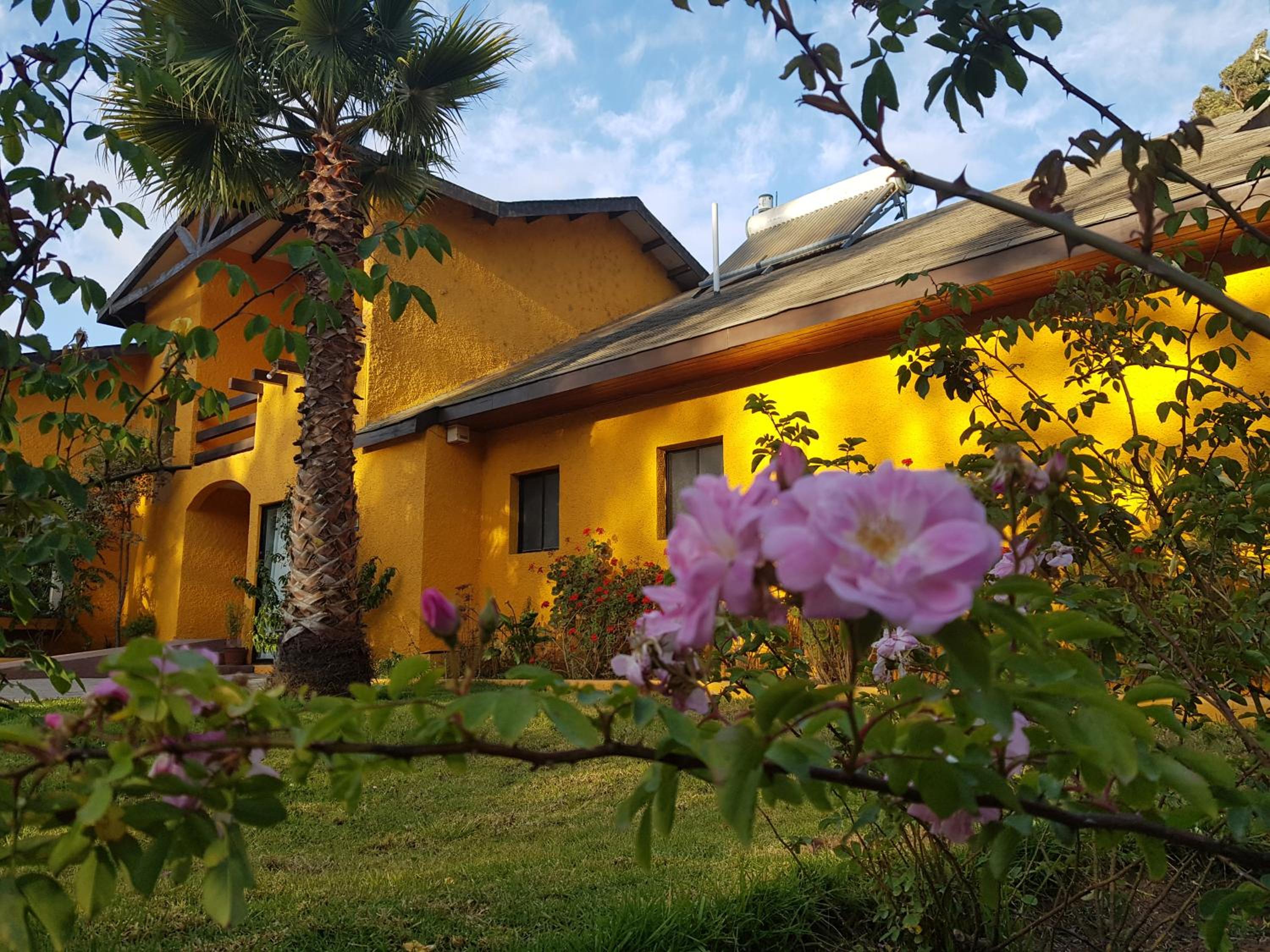 La Serena camino al Valle del Elqui