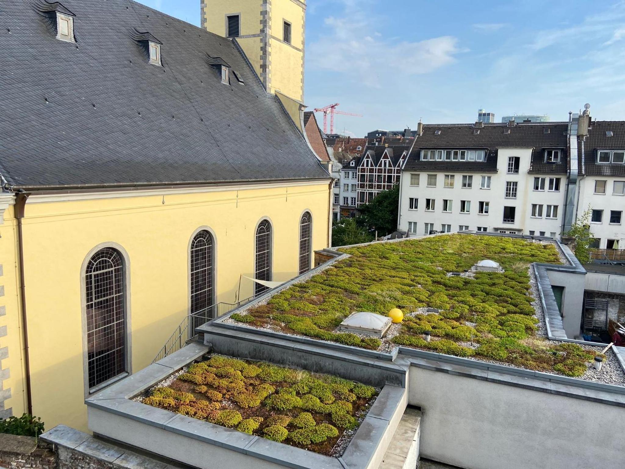 roof