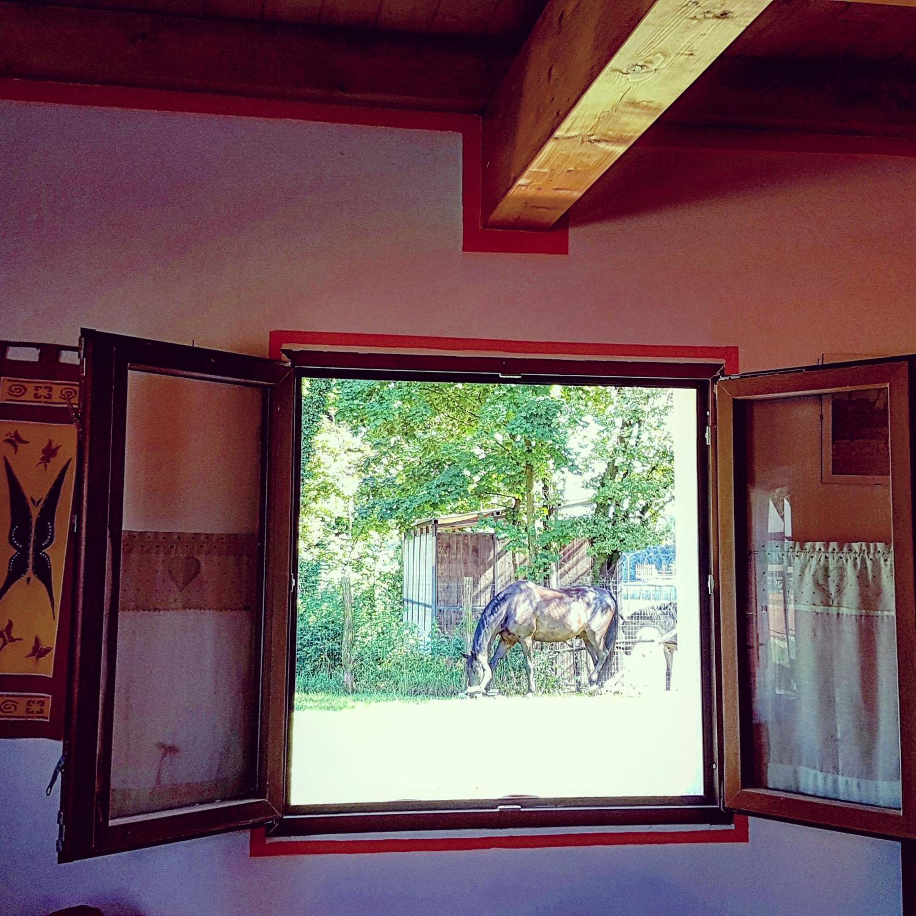 Casa Vacanze i Salici view 3