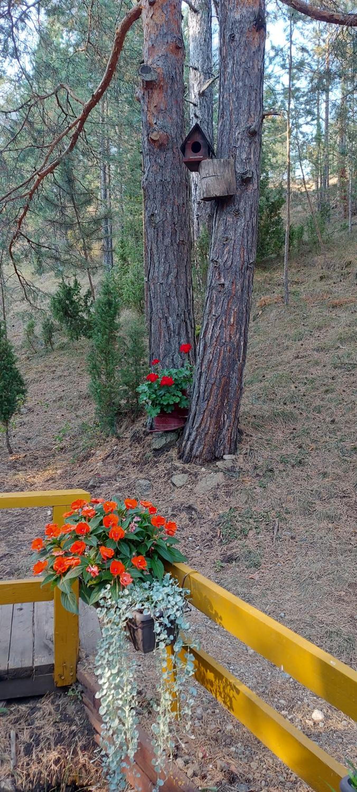 Photo 22