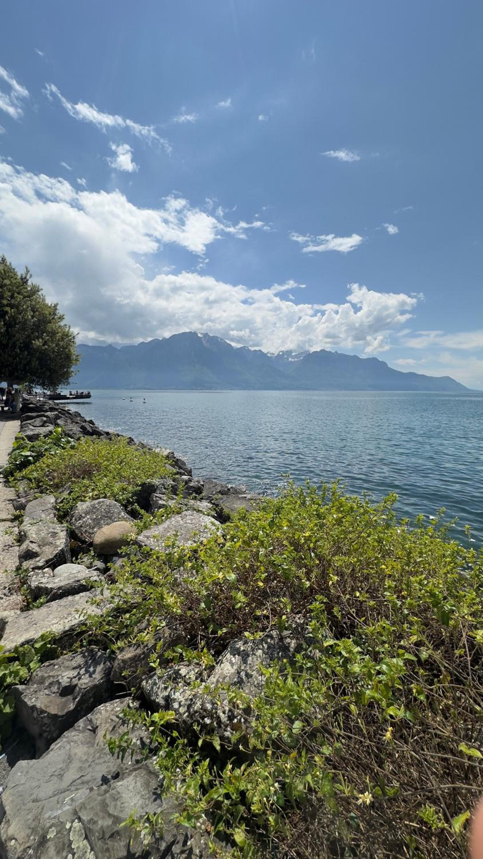 Montreux centre appartement spacieux