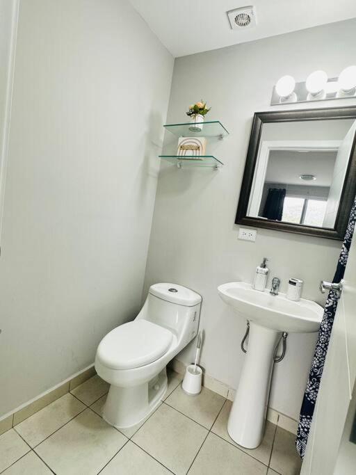 Acogedor Apartamento Royal Blue