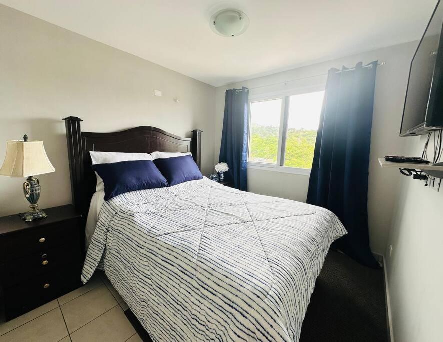 Acogedor Apartamento Royal Blue