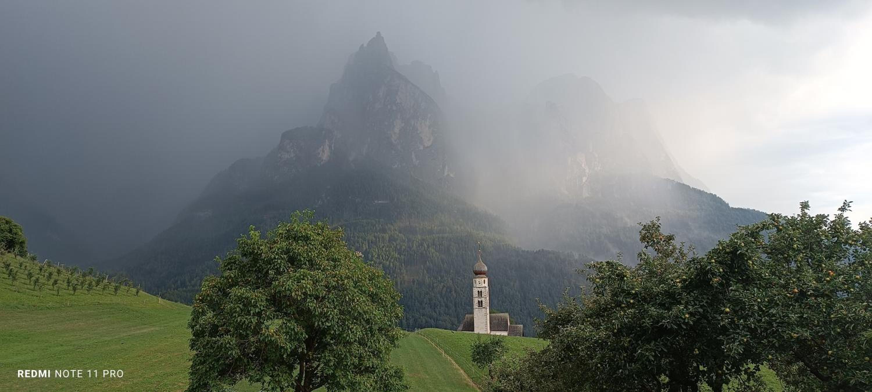 Labe Biohof Oberzonn