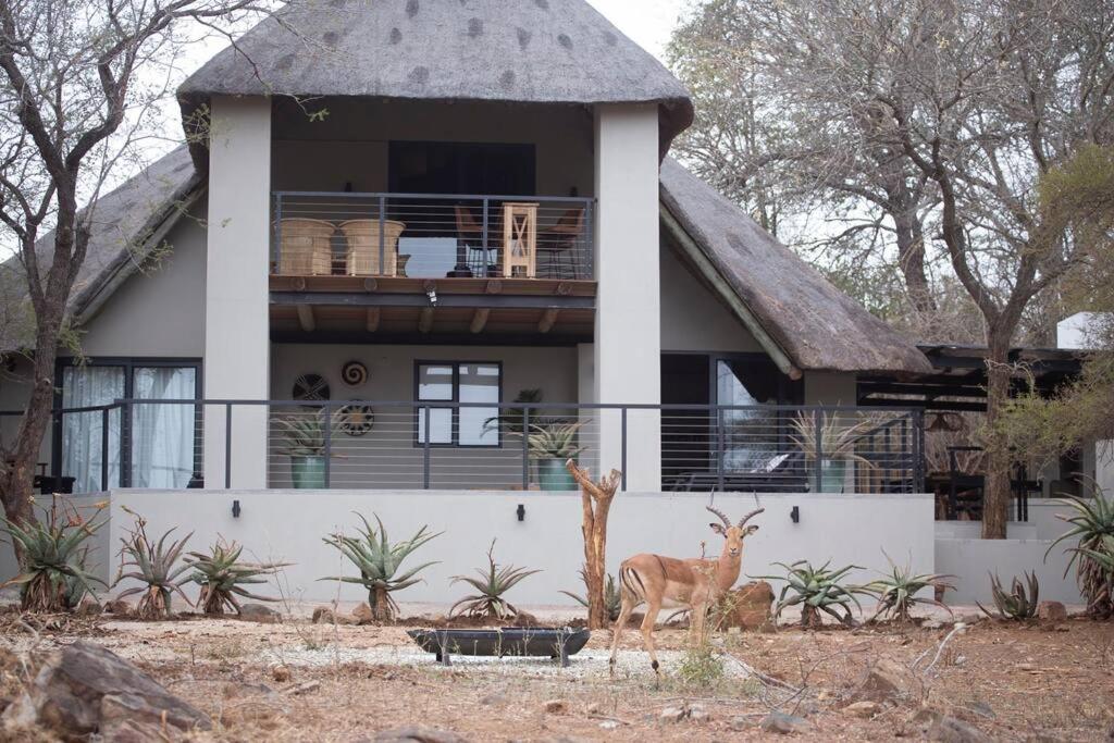 Bateleur Kruger Lodge view 4