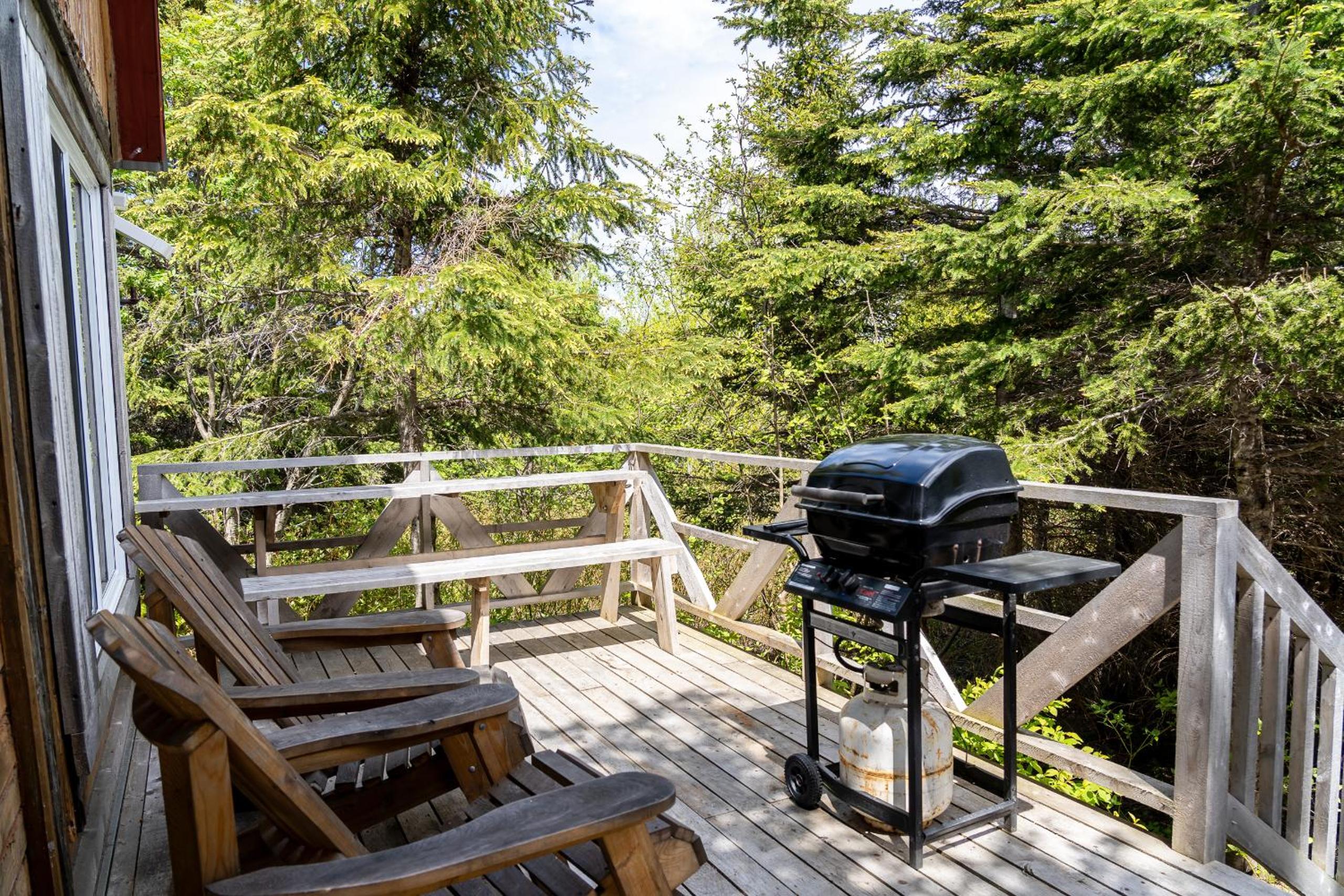 Auberge/Chalet Griffon Aventure