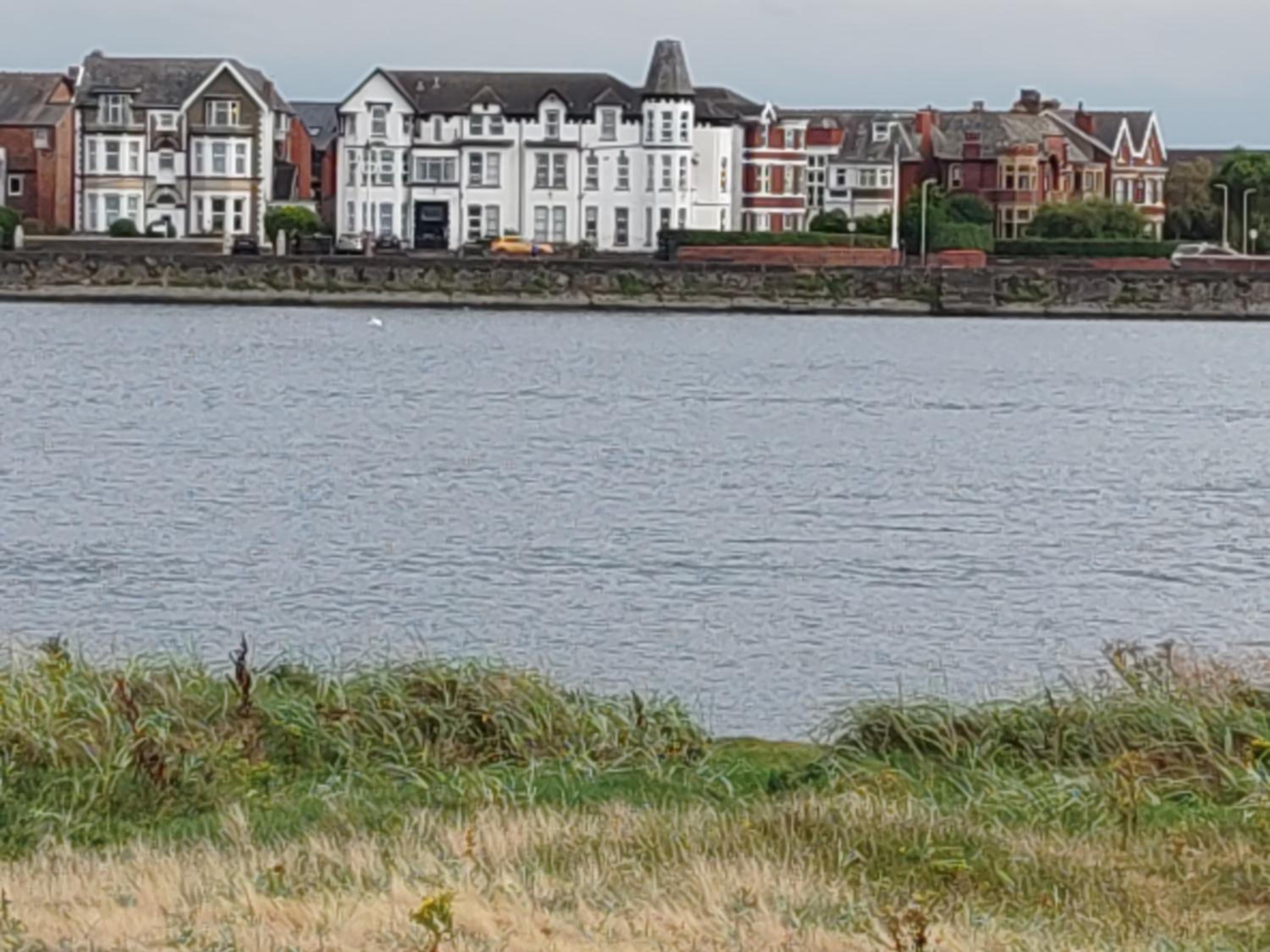 Lakeside View