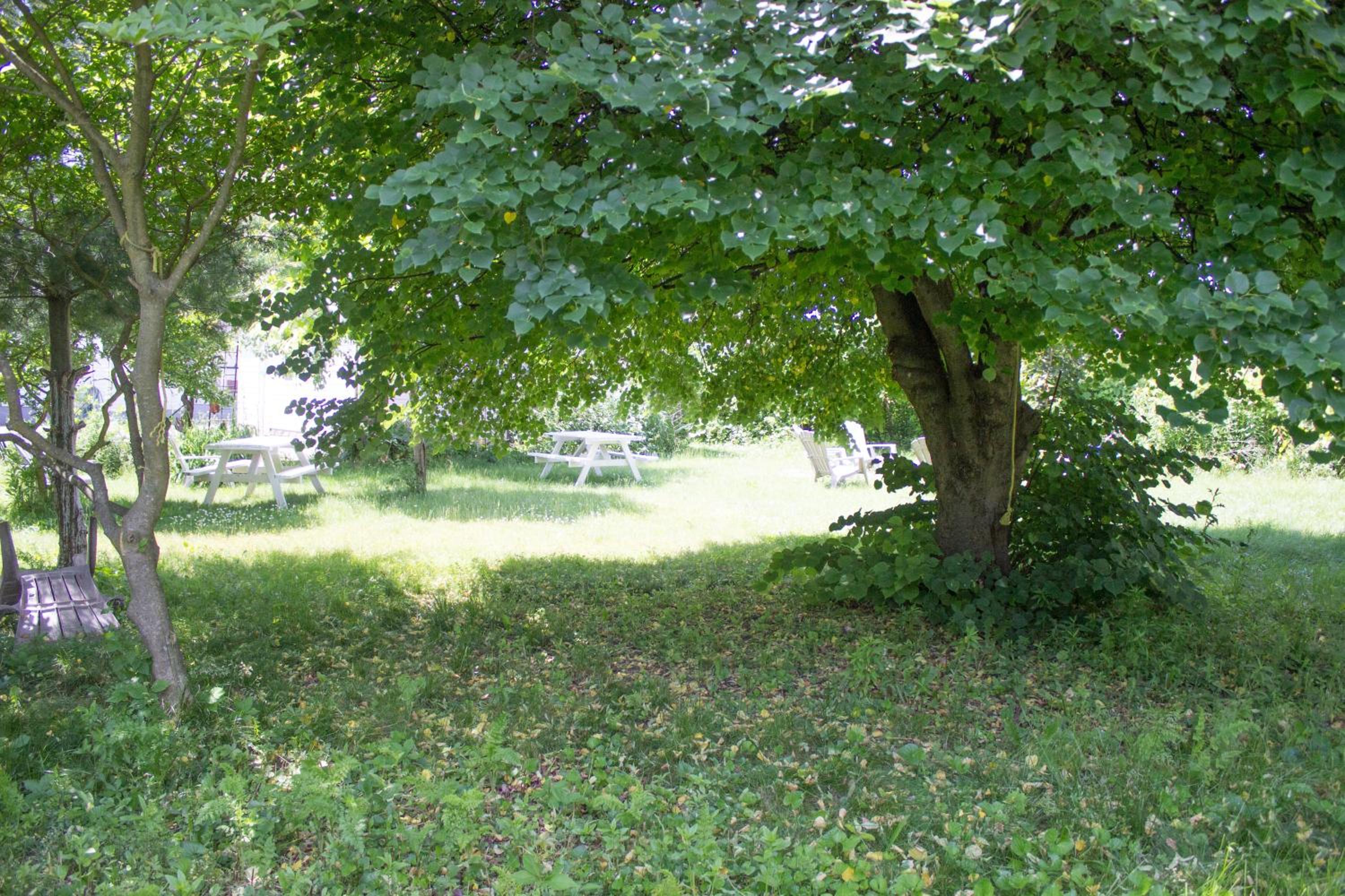 Photo 64