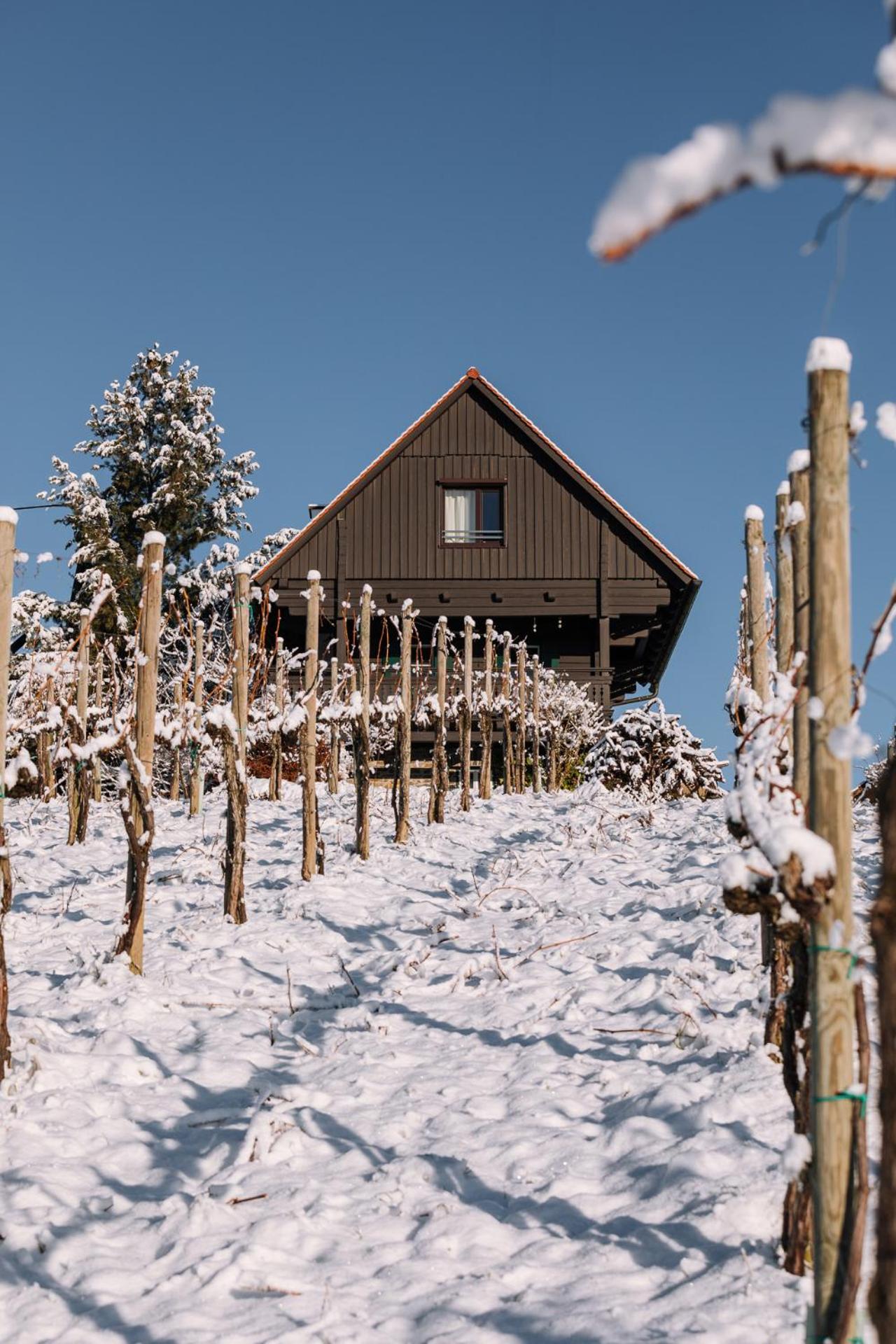 SCHILCHERLANDLEBEN - Weingartenhaus