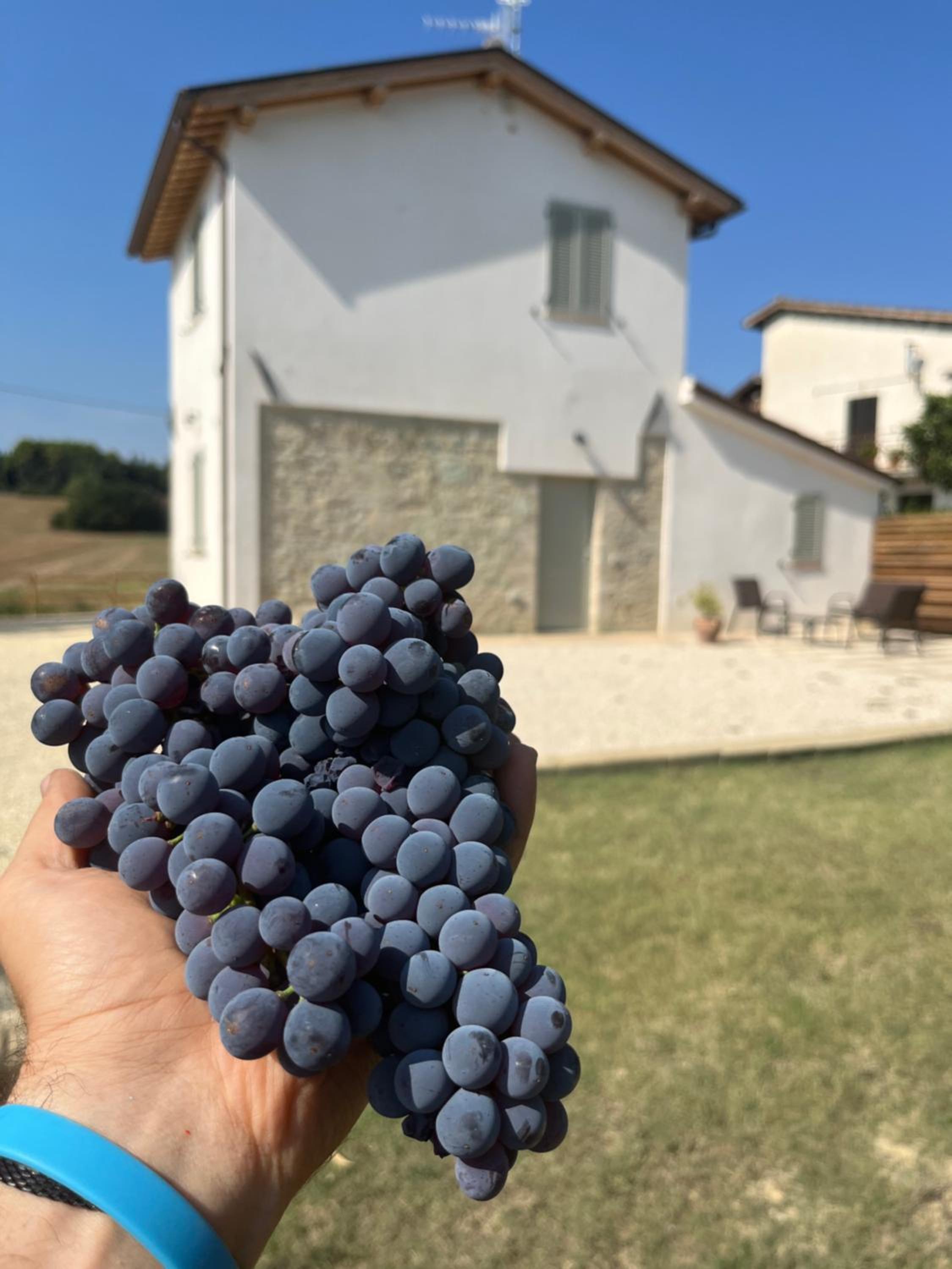 Casa Stefano view 2