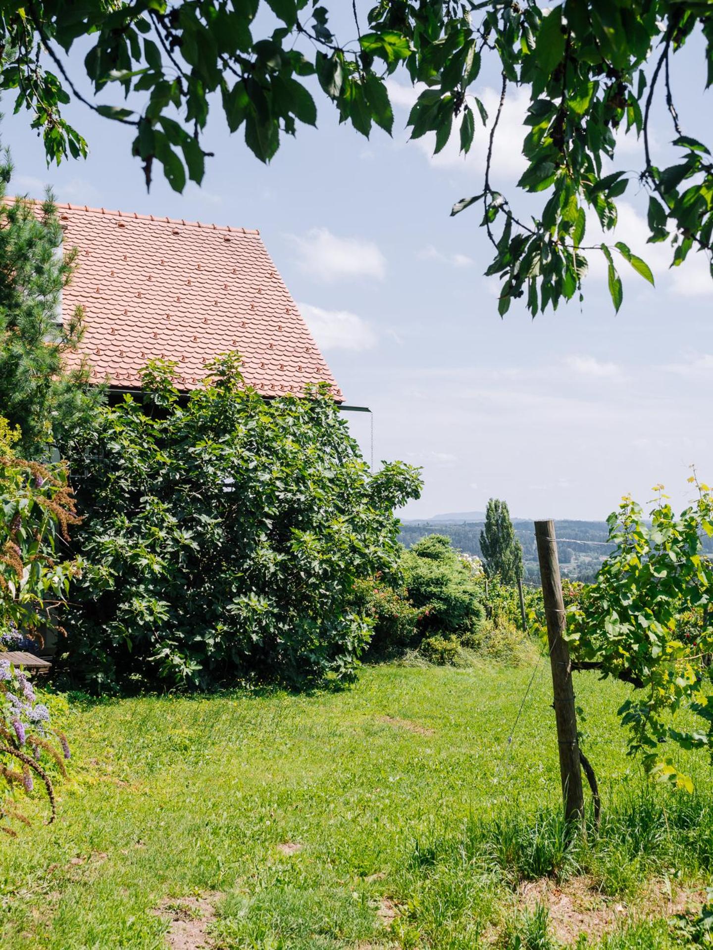 SCHILCHERLANDLEBEN - Weingartenhaus