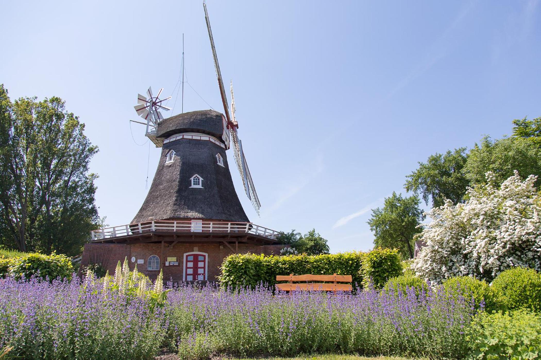 Ferienhaus Kiebitzmoor 7