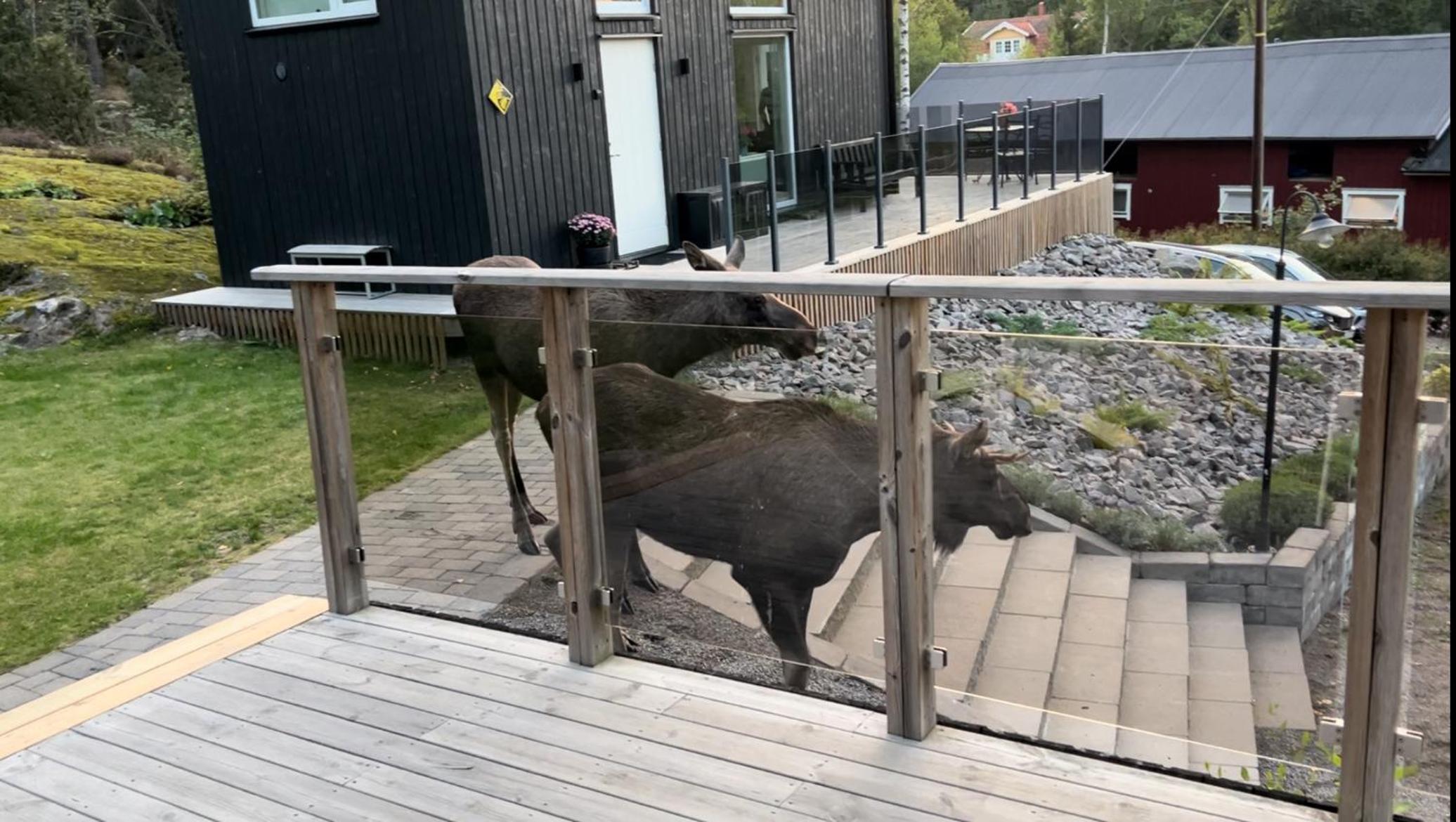 Cabin in the woods, close to Lake Mälaren view 2