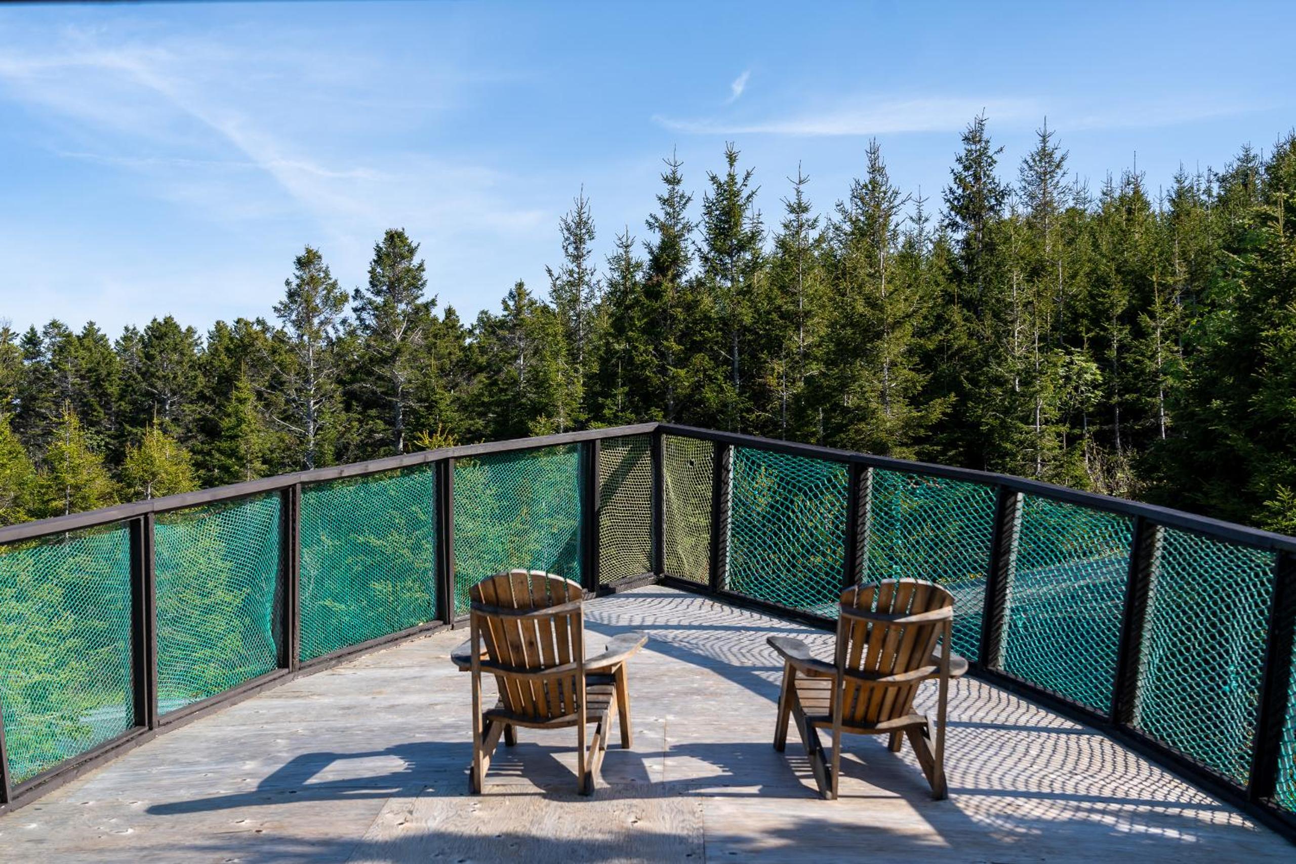 Auberge/Chalet Griffon Aventure