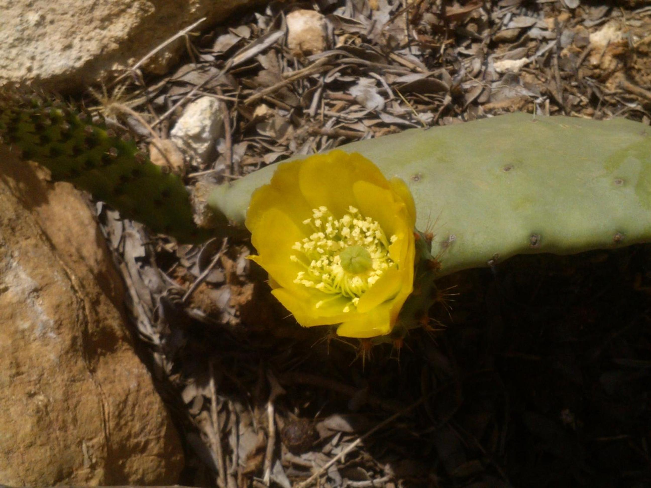 Photo 56