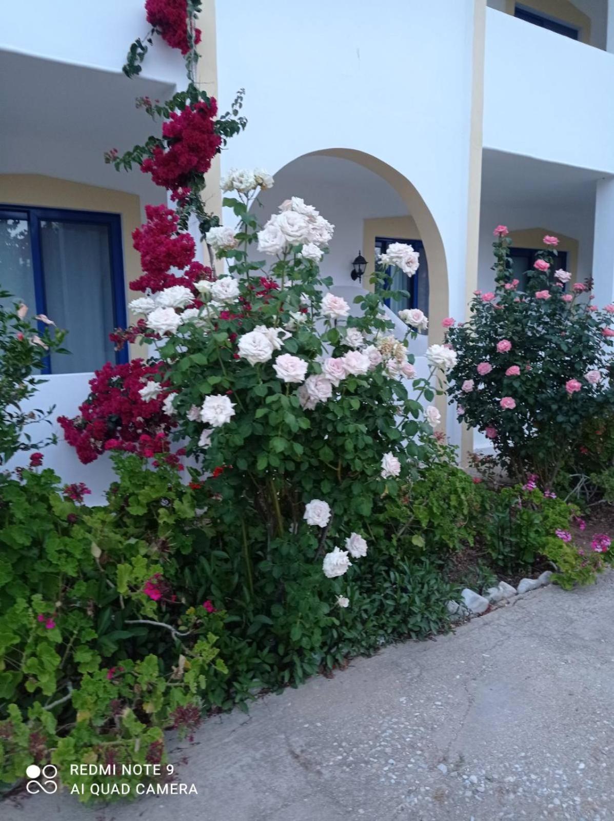 Photo 44