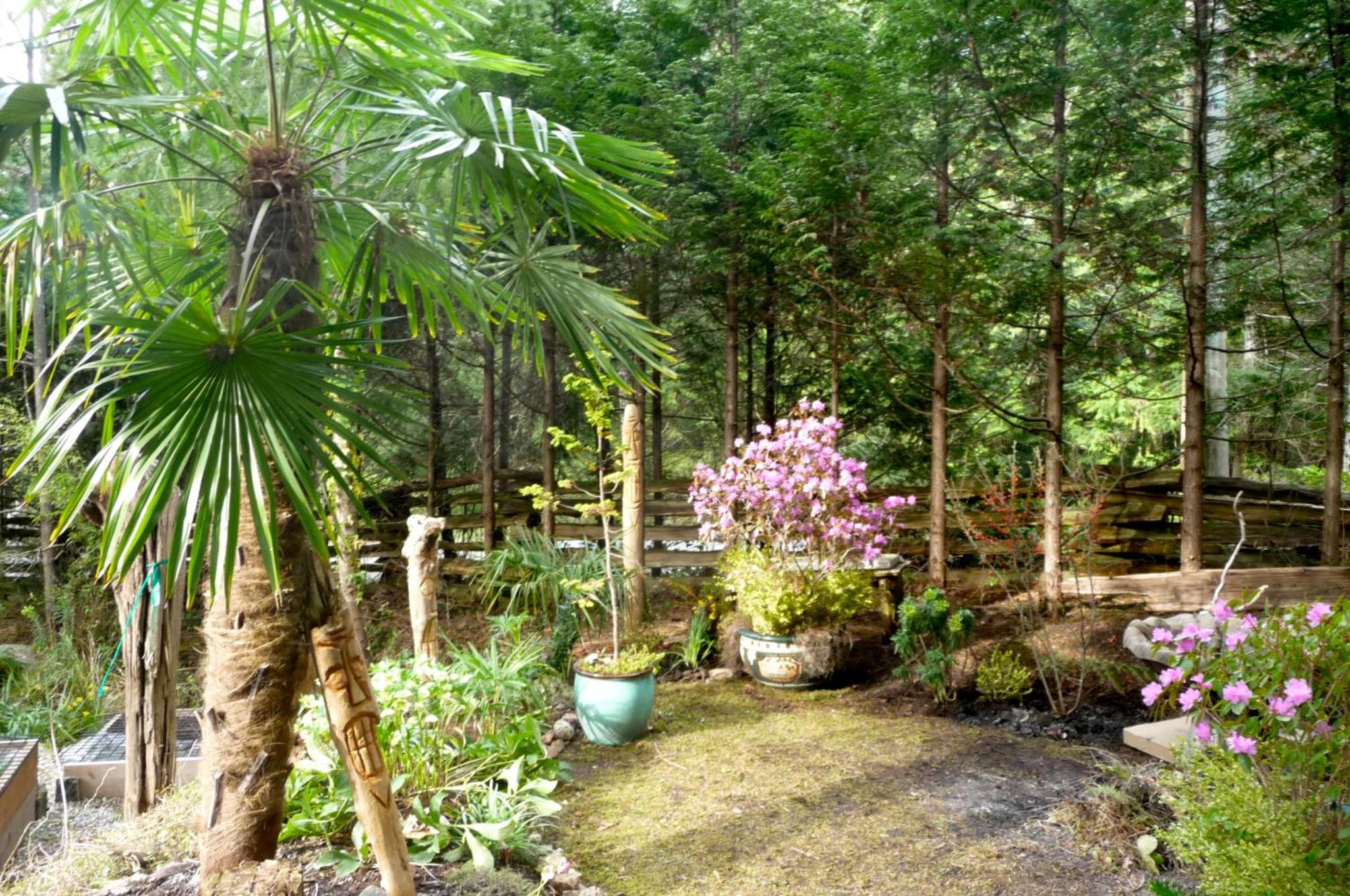 Magnolia Petal - Image 5