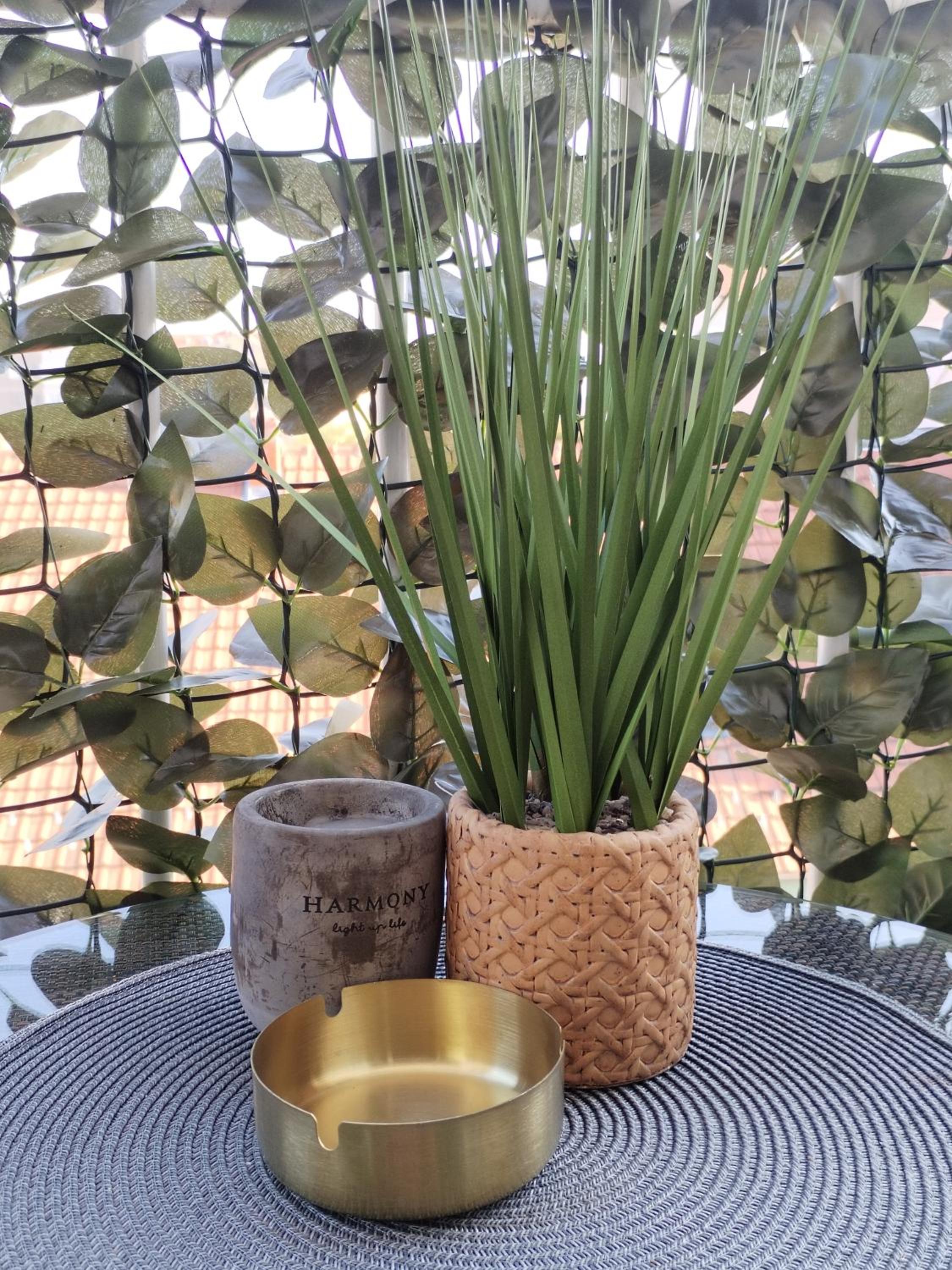 Apartman Centar