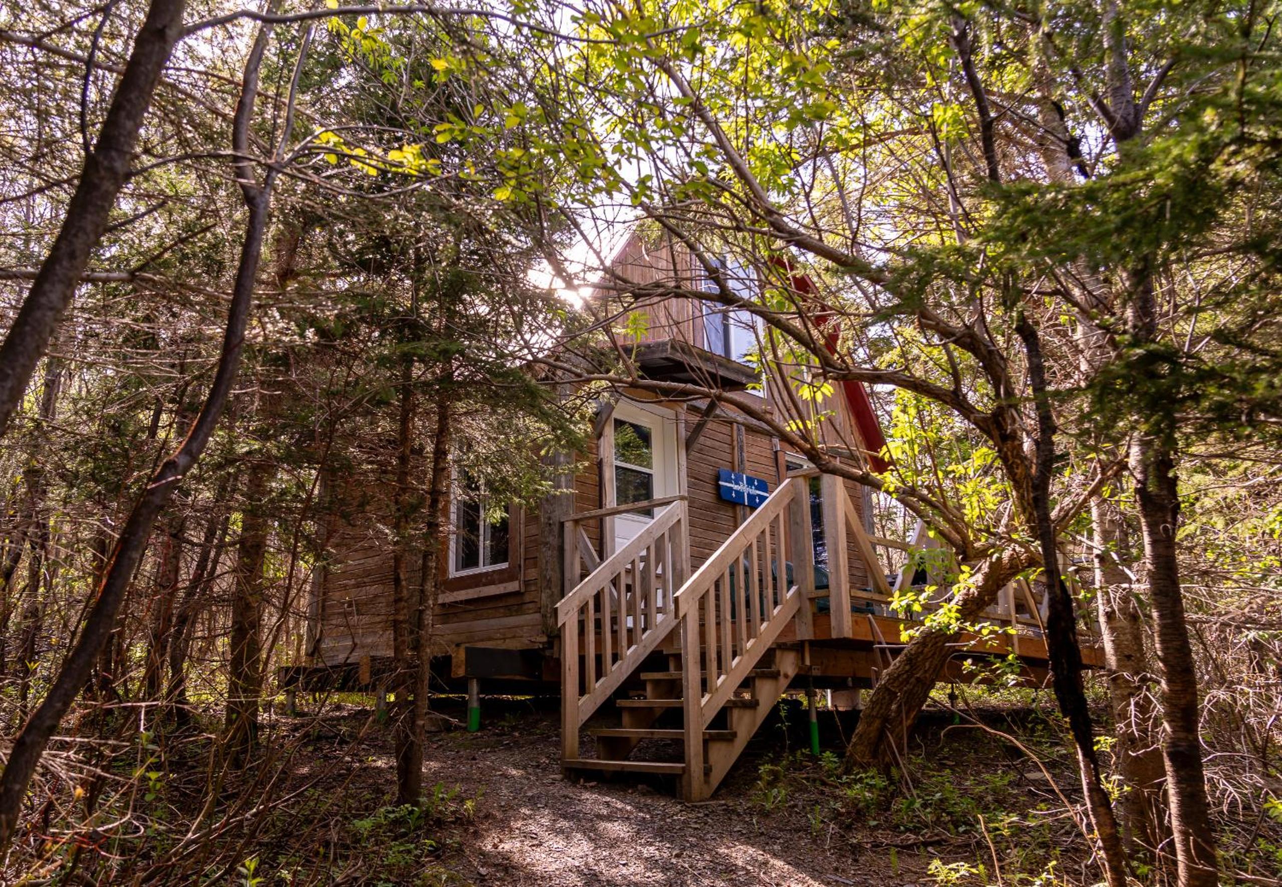 Auberge/Chalet Griffon Aventure