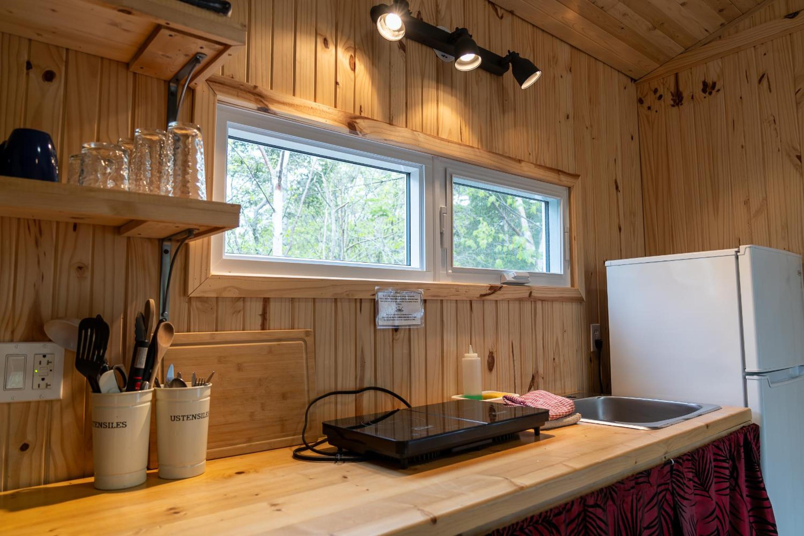 Auberge/Chalet Griffon Aventure