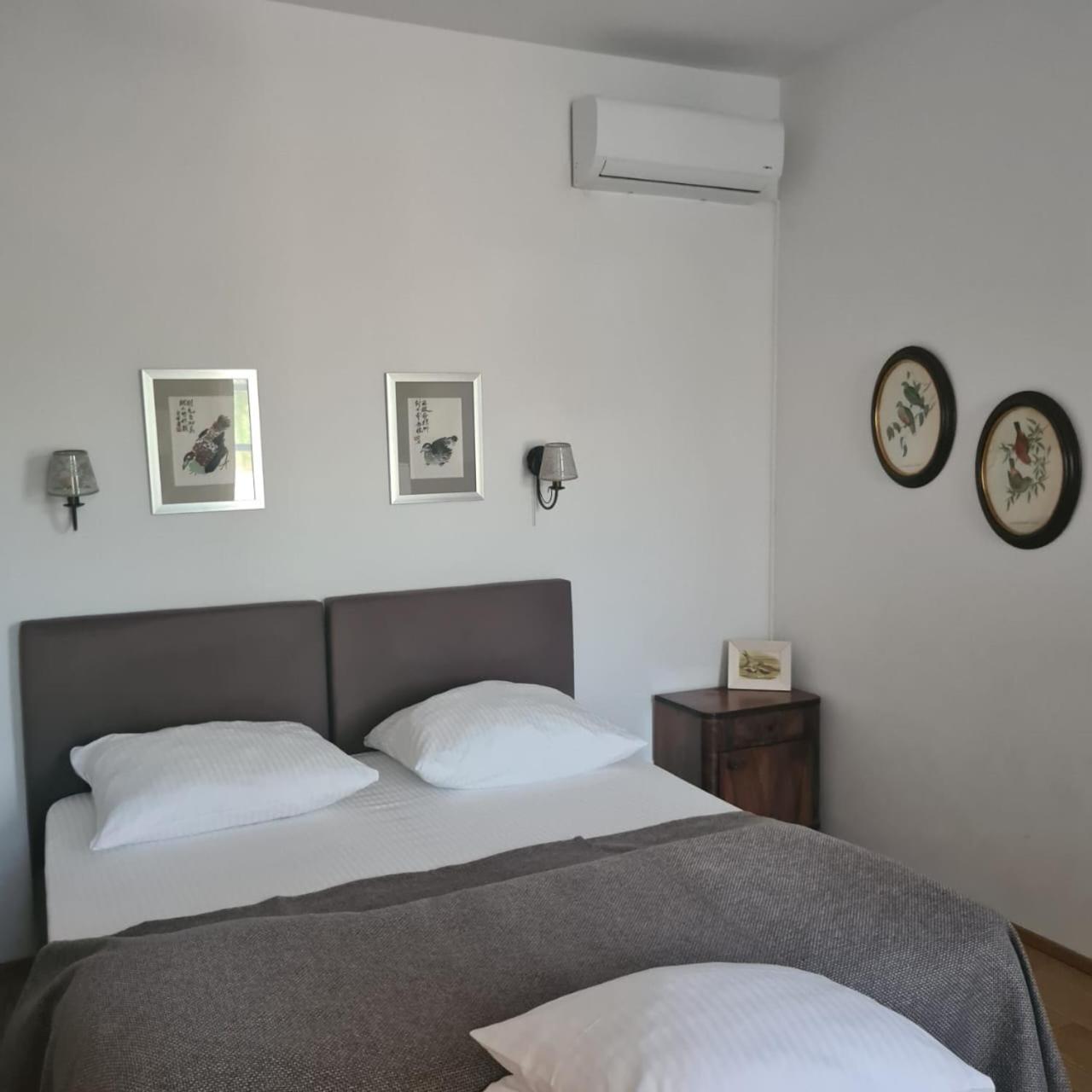 Villa Musik - apartments in historical Villa , Baden
