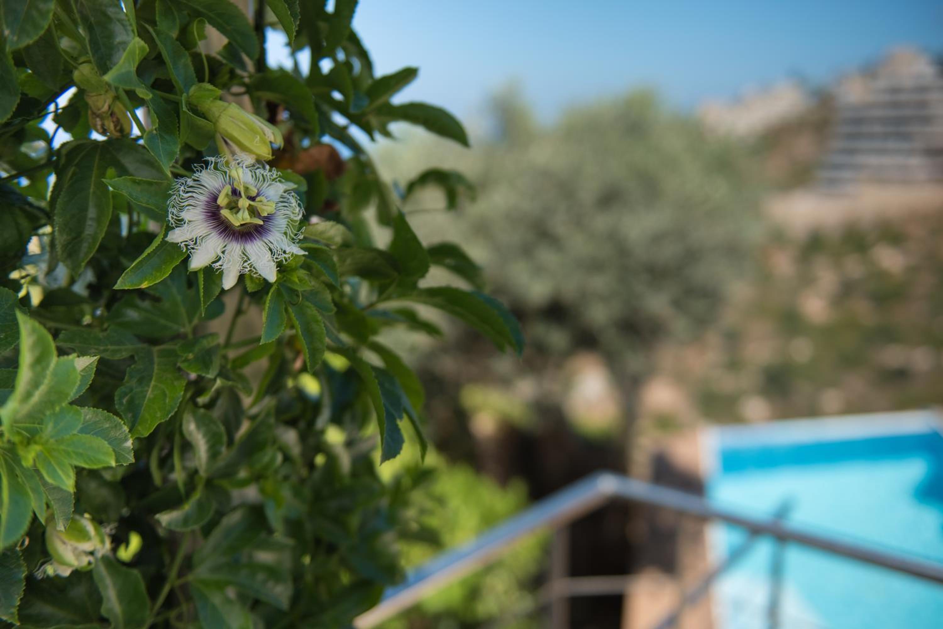 Valenberg Oasis