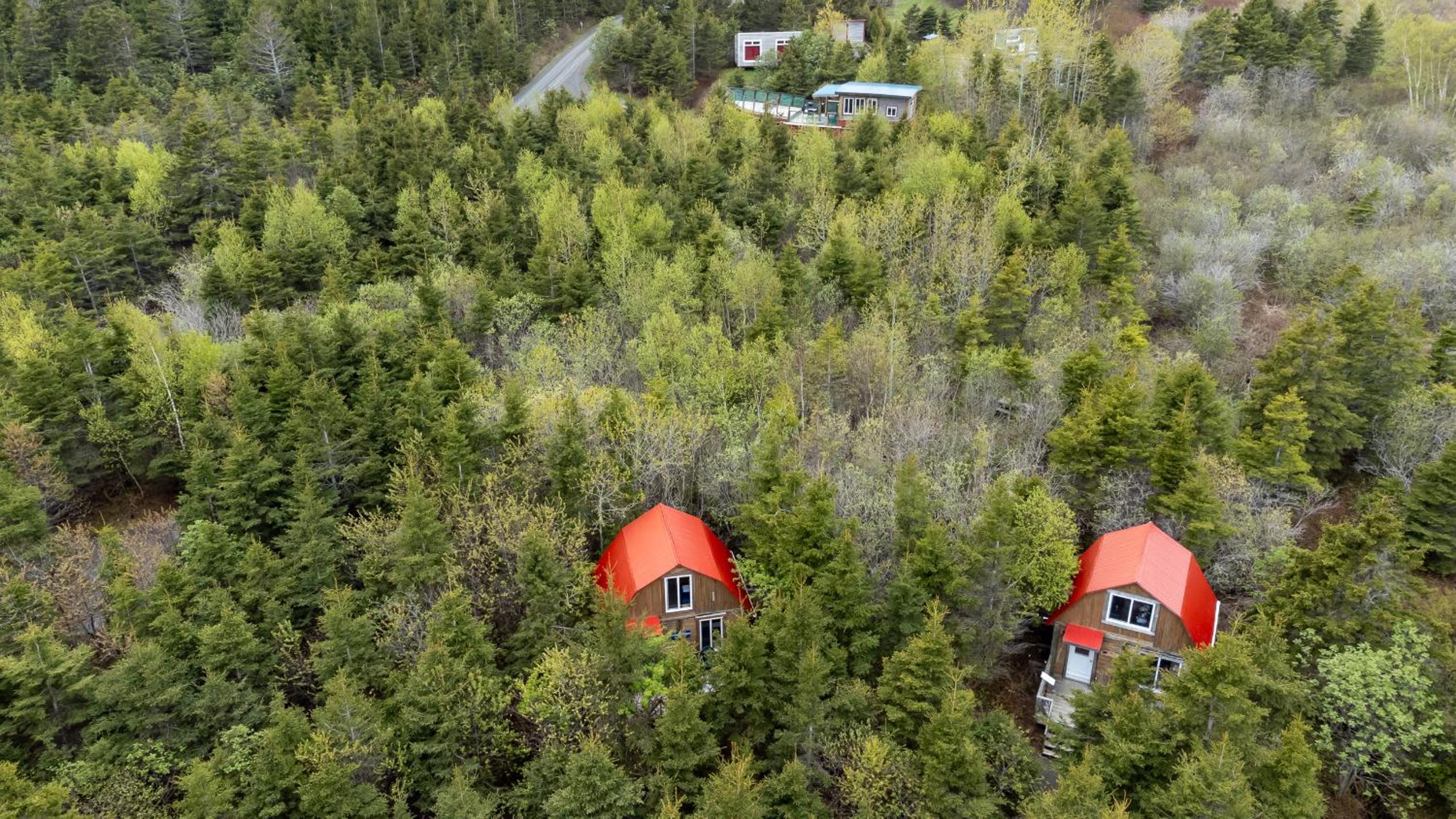 Auberge/Chalet Griffon Aventure
