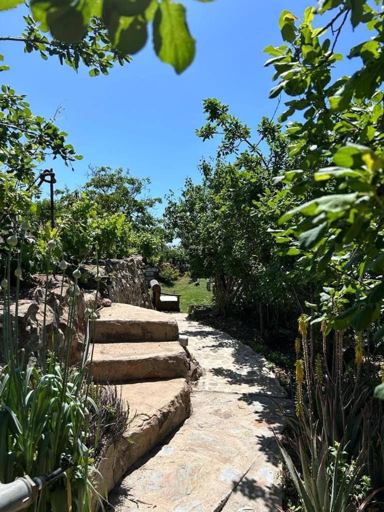 Rosas märchenhafte Finca mit Pool
